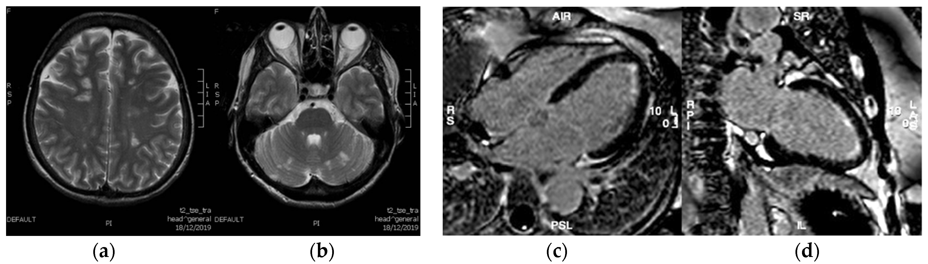 Microbiolres 16 00058 g002