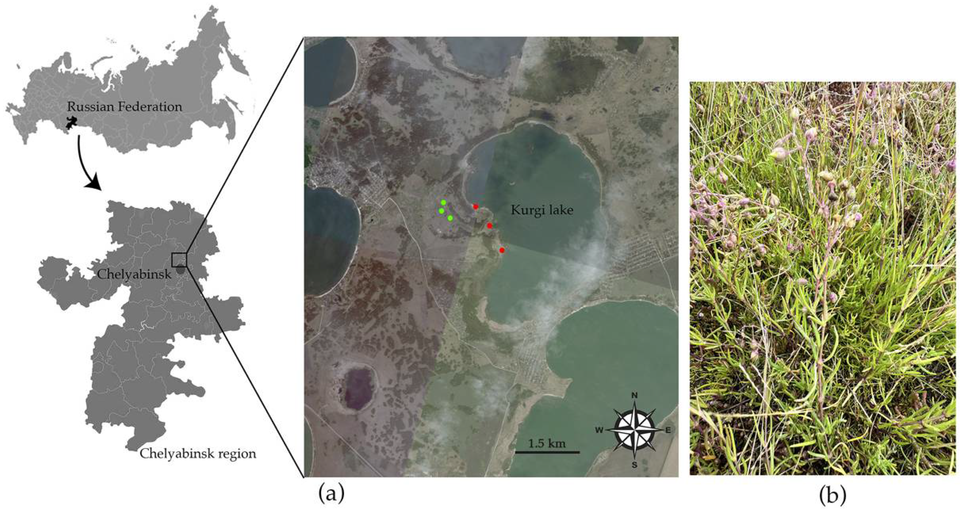 Microbiolres 16 00064 g001 Microbiolres 16 00064 g001