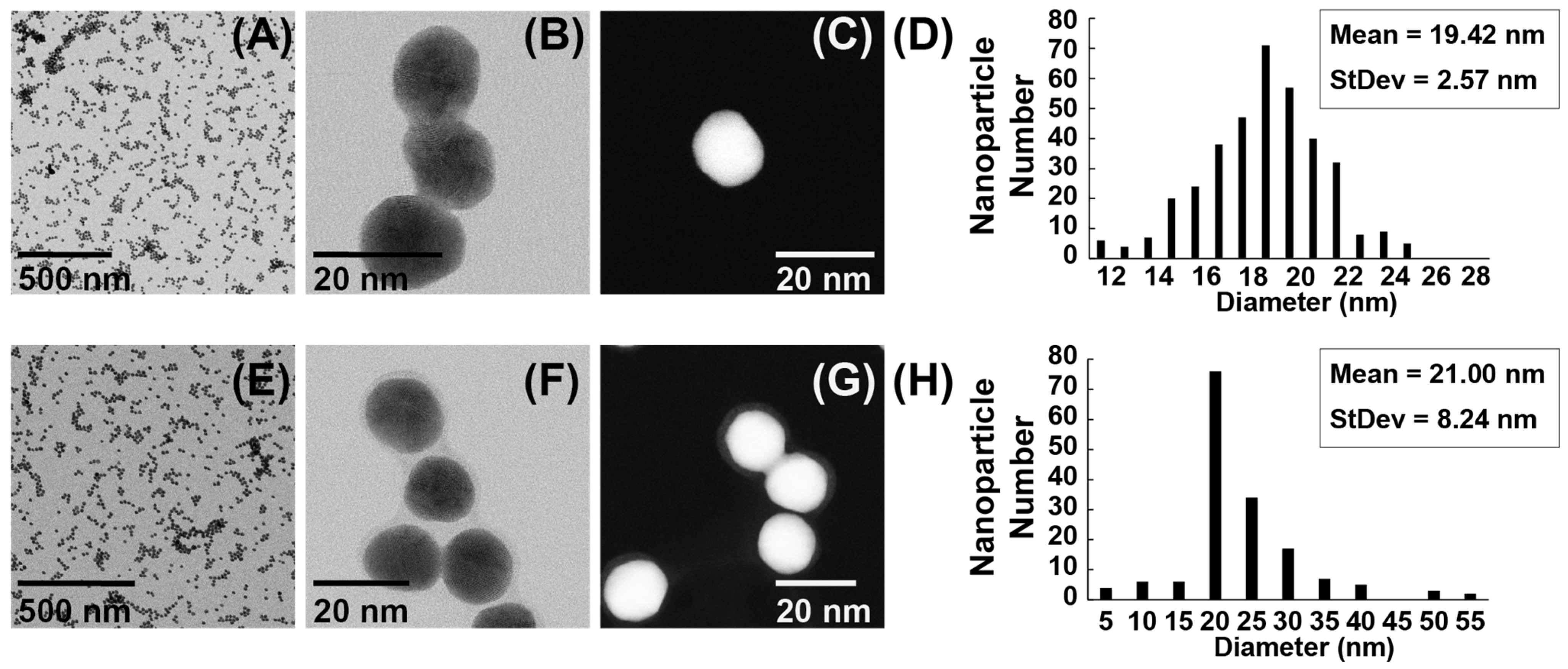 Microbiolres 16 00070 g002