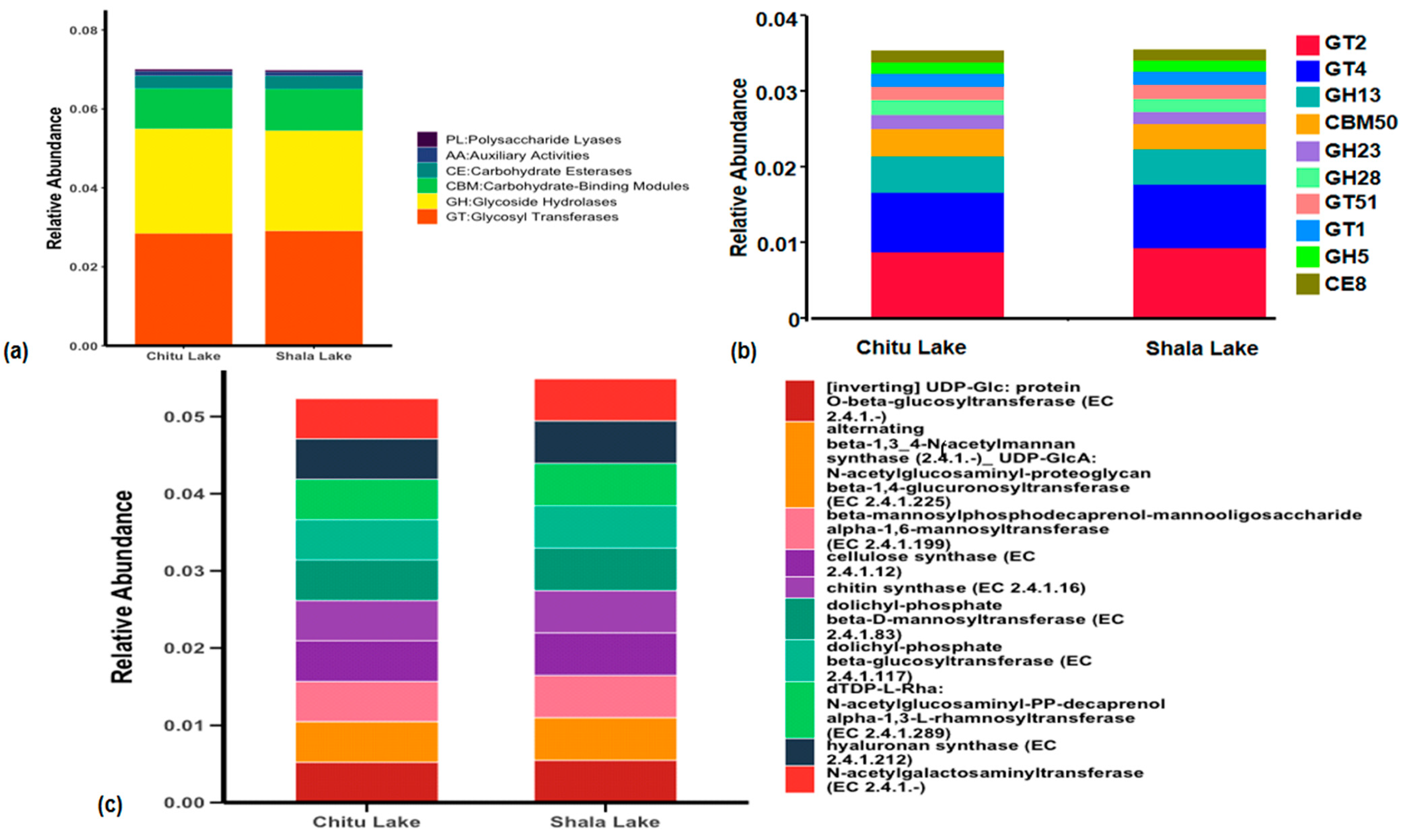 Microbiolres 16 00071 g006