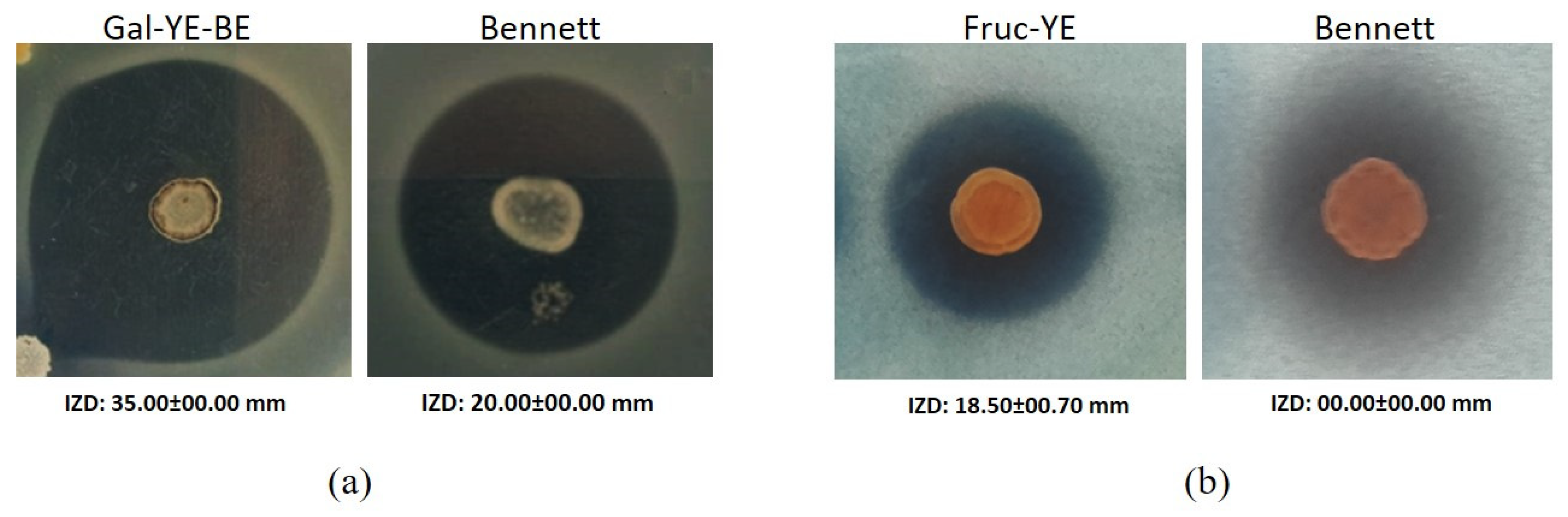 Microbiolres 16 00072 g004