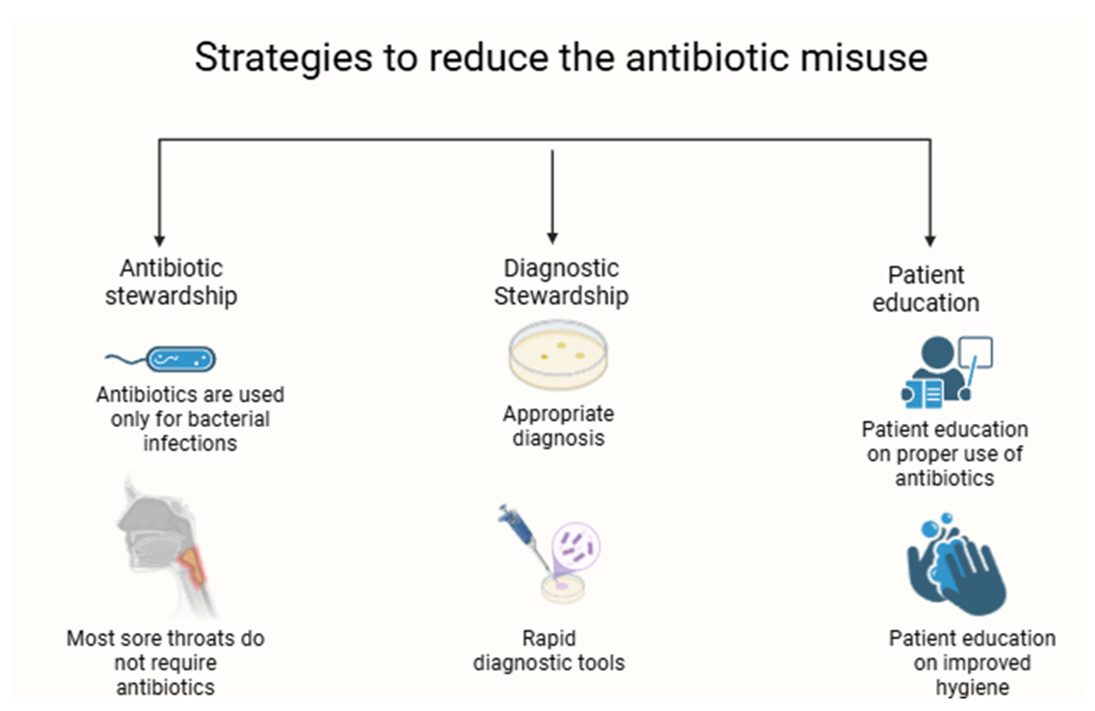 Microbiolres 16 00073 g001