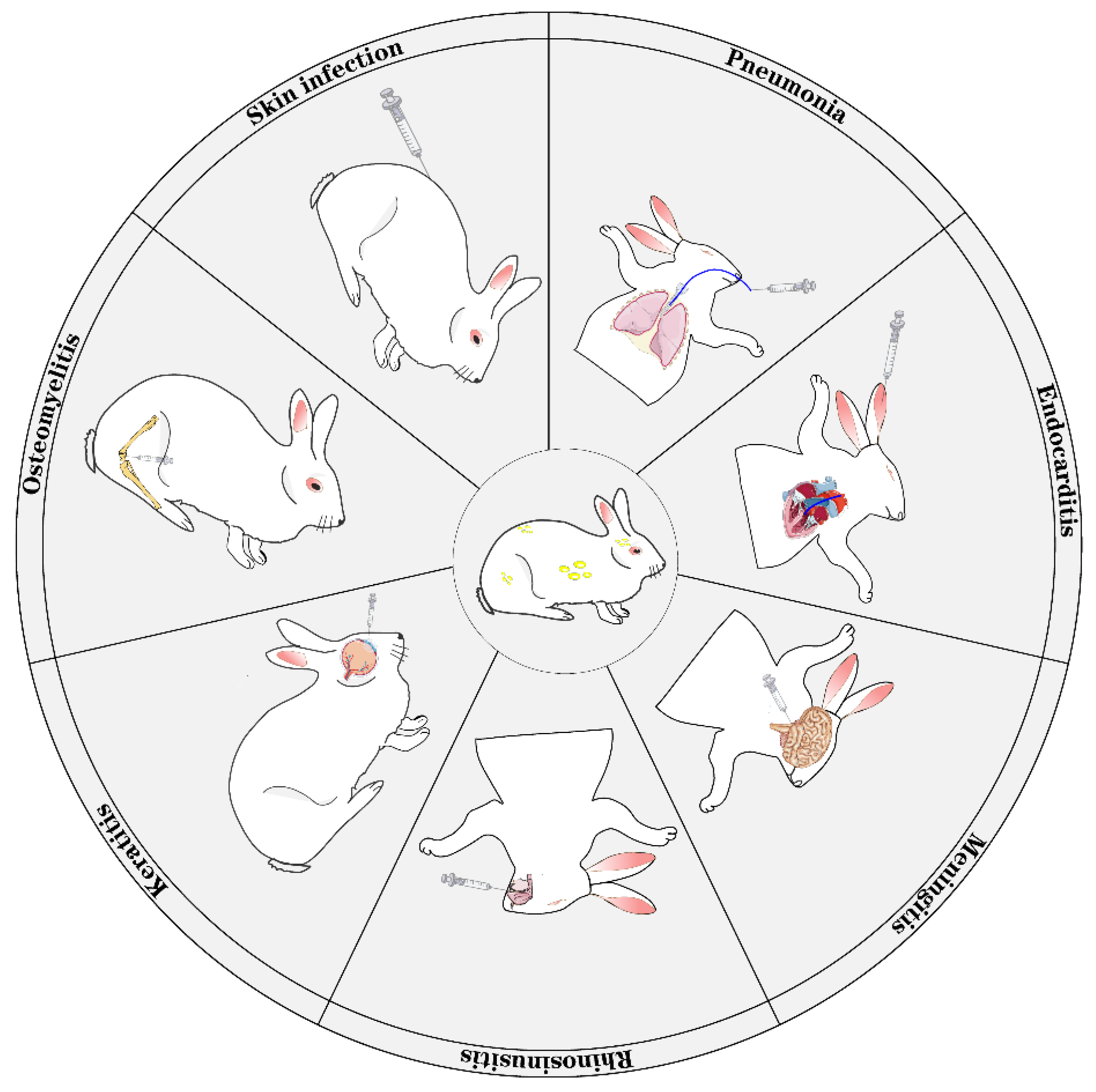 Microbiolres 16 00076 g001