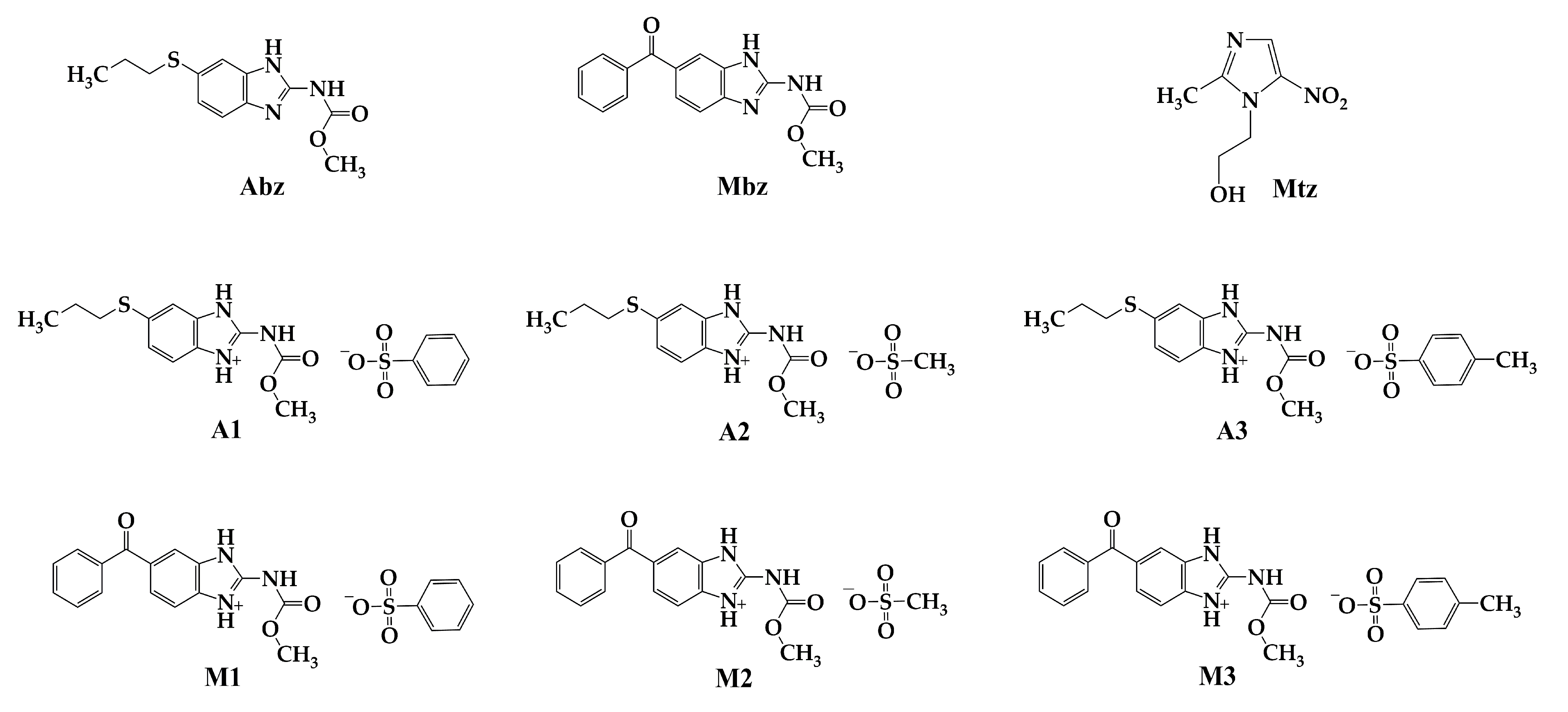 Microbiolres 16 00077 g001