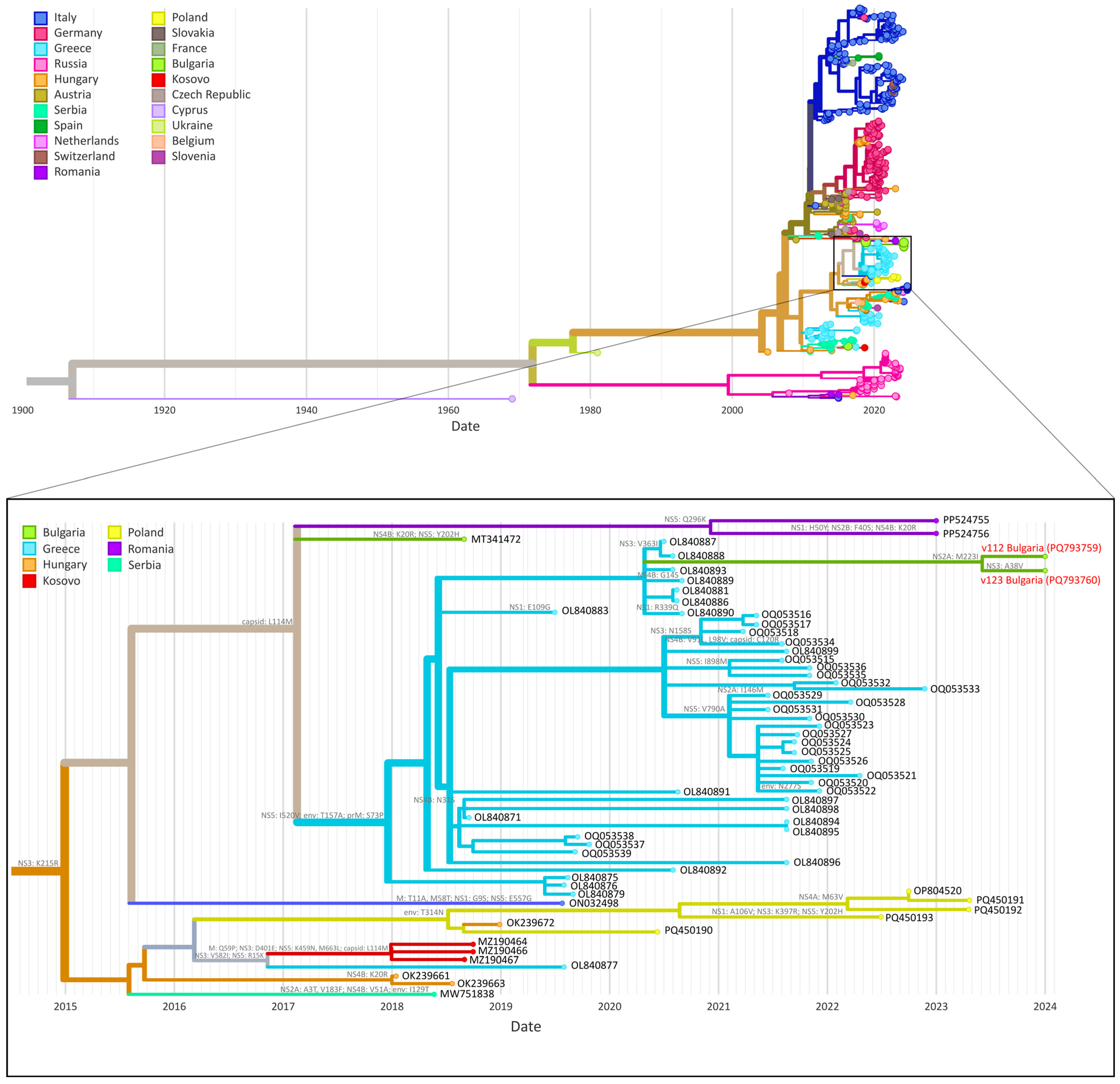 Microbiolres 16 00082 g001
