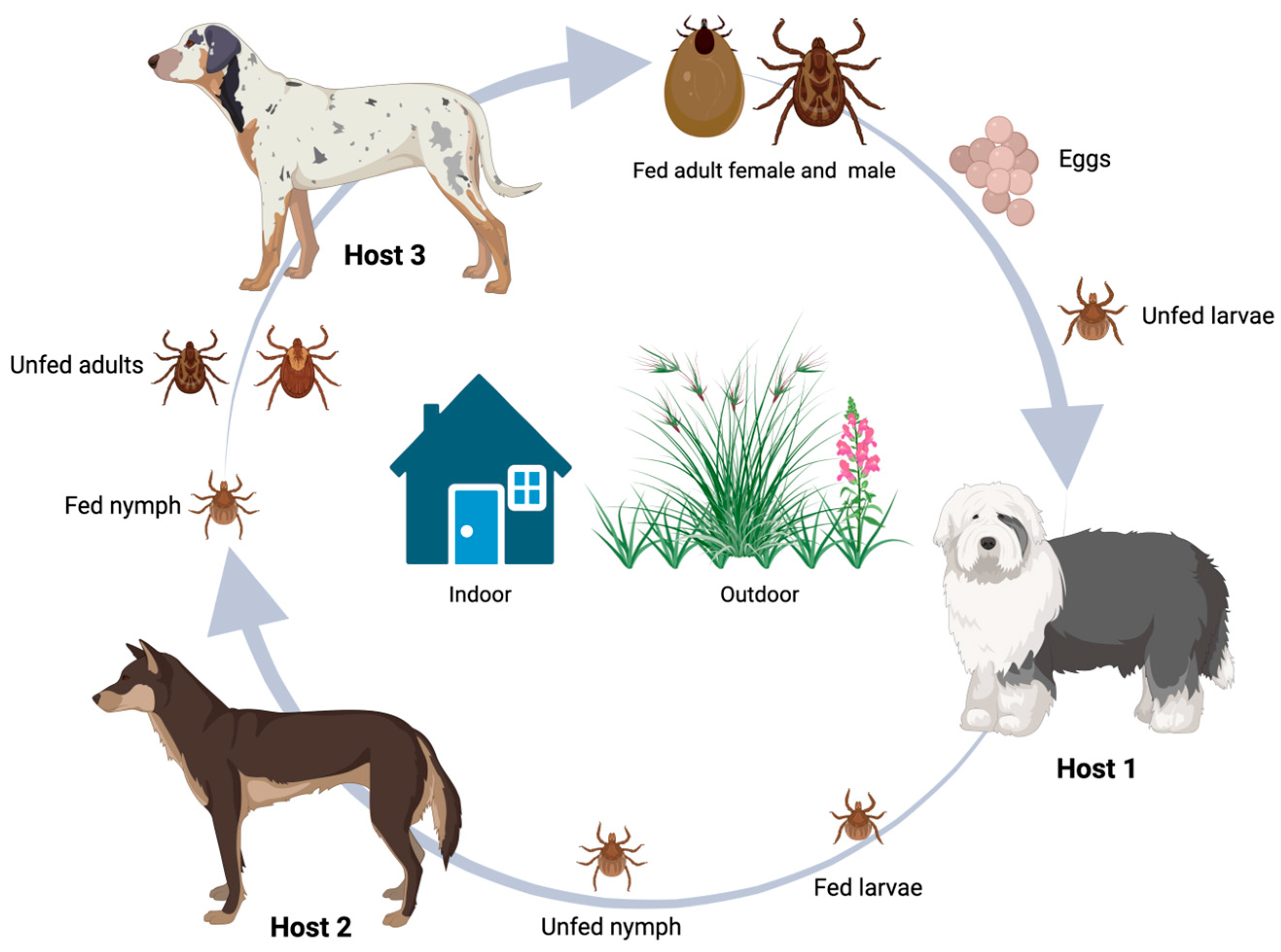 Microbiolres 16 00085 g002