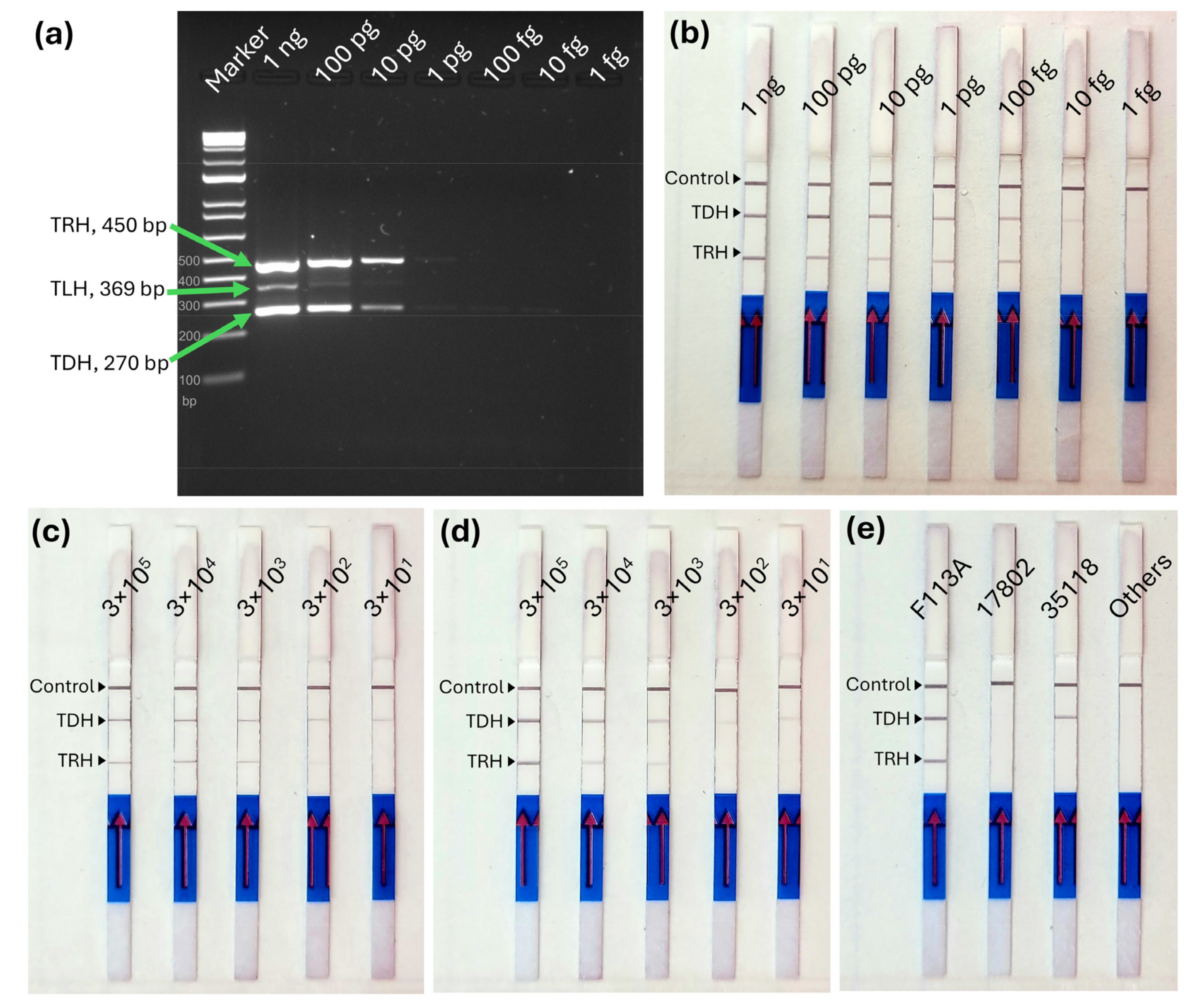 Microbiolres 16 00087 g003