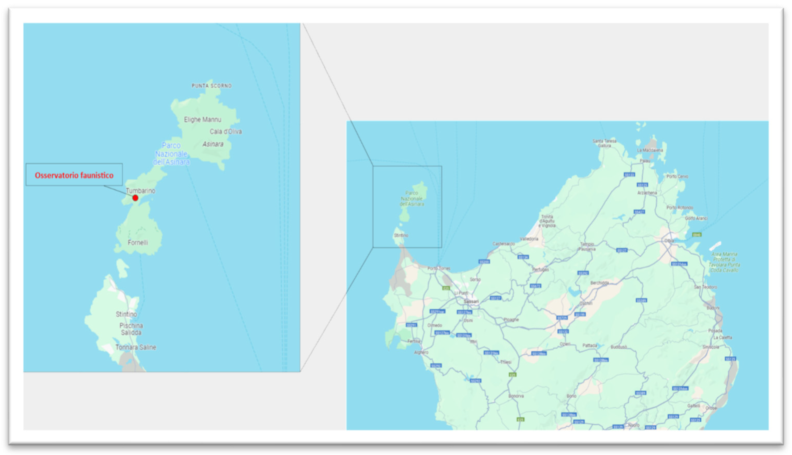 Microbiolres 16 00088 g001