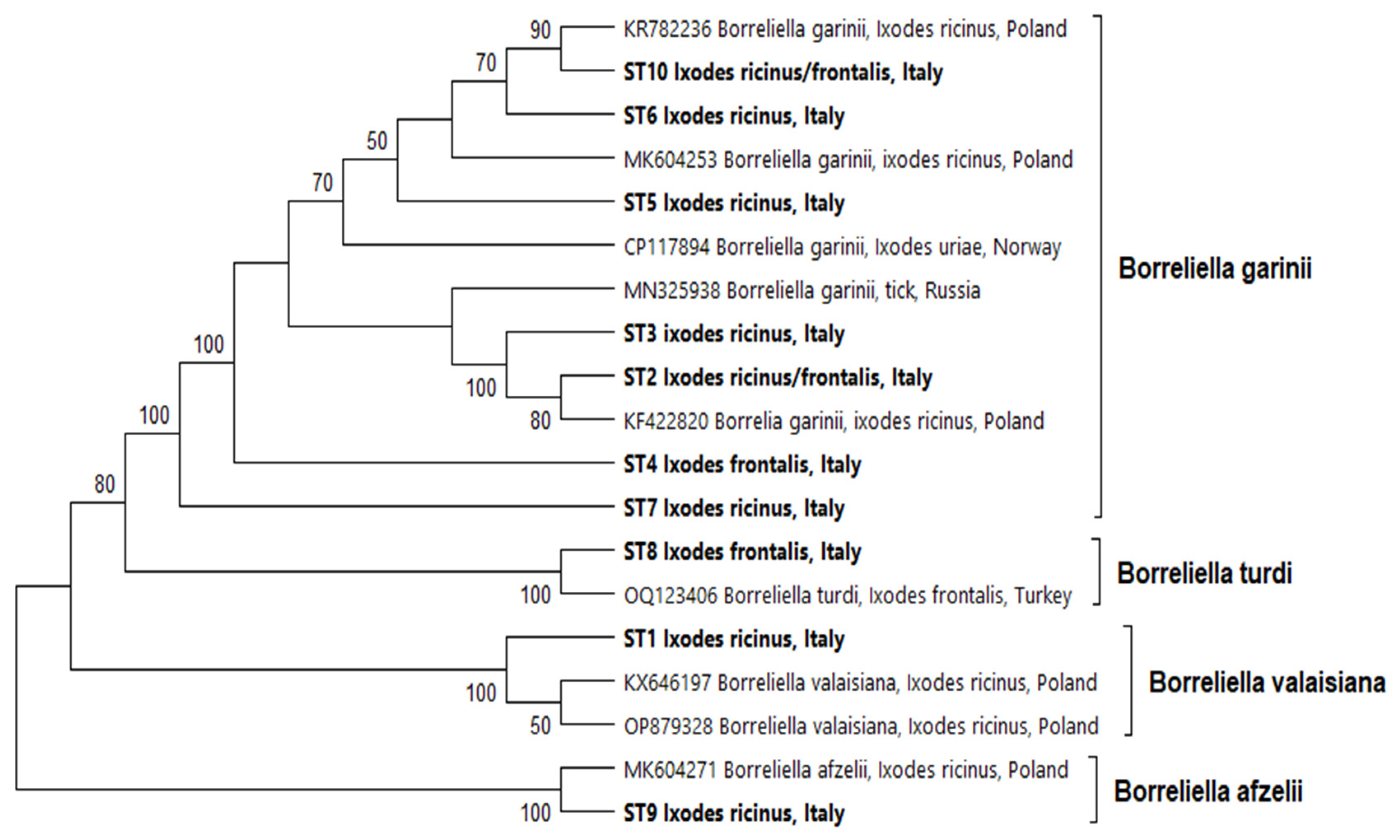 Microbiolres 16 00088 g002