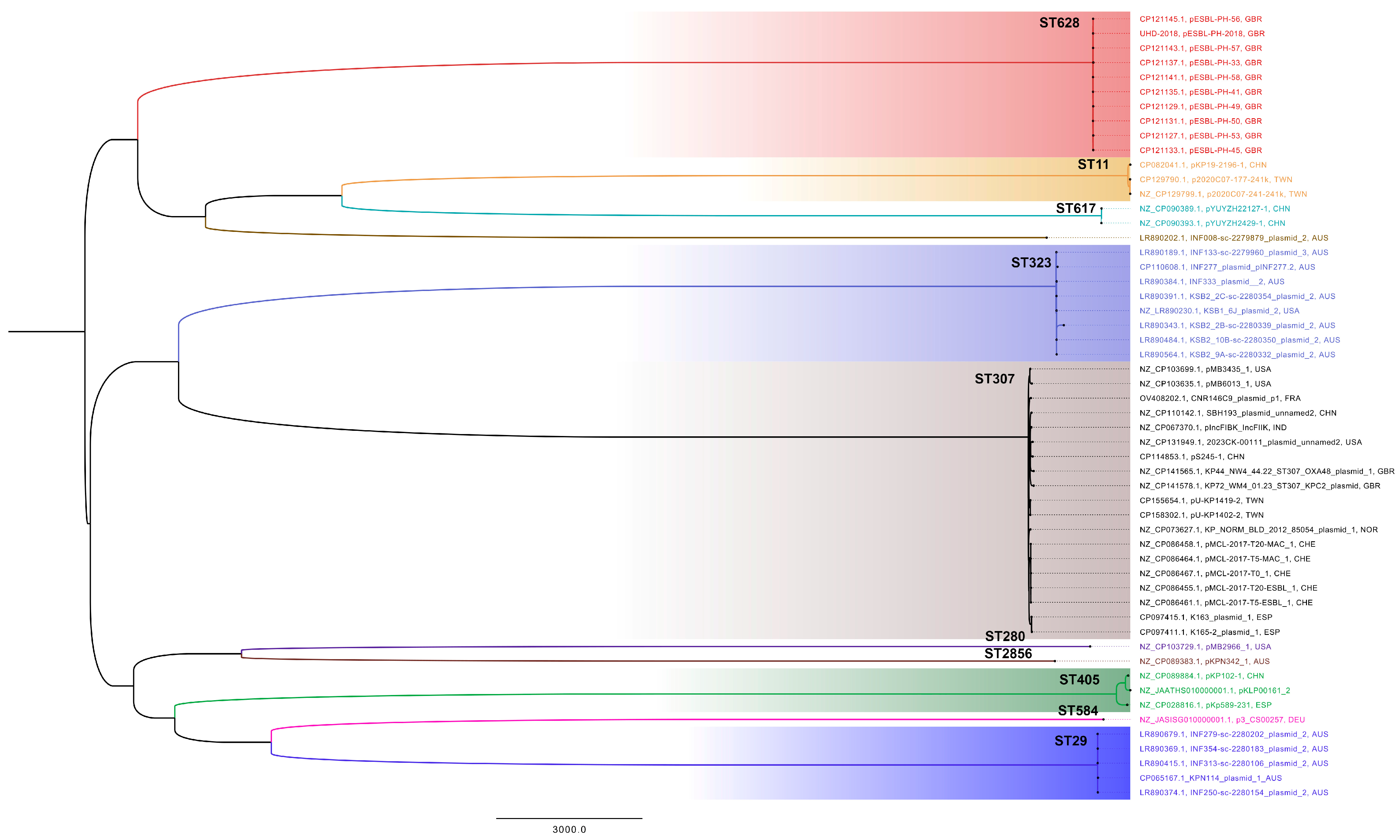 Microbiolres 16 00090 g003
