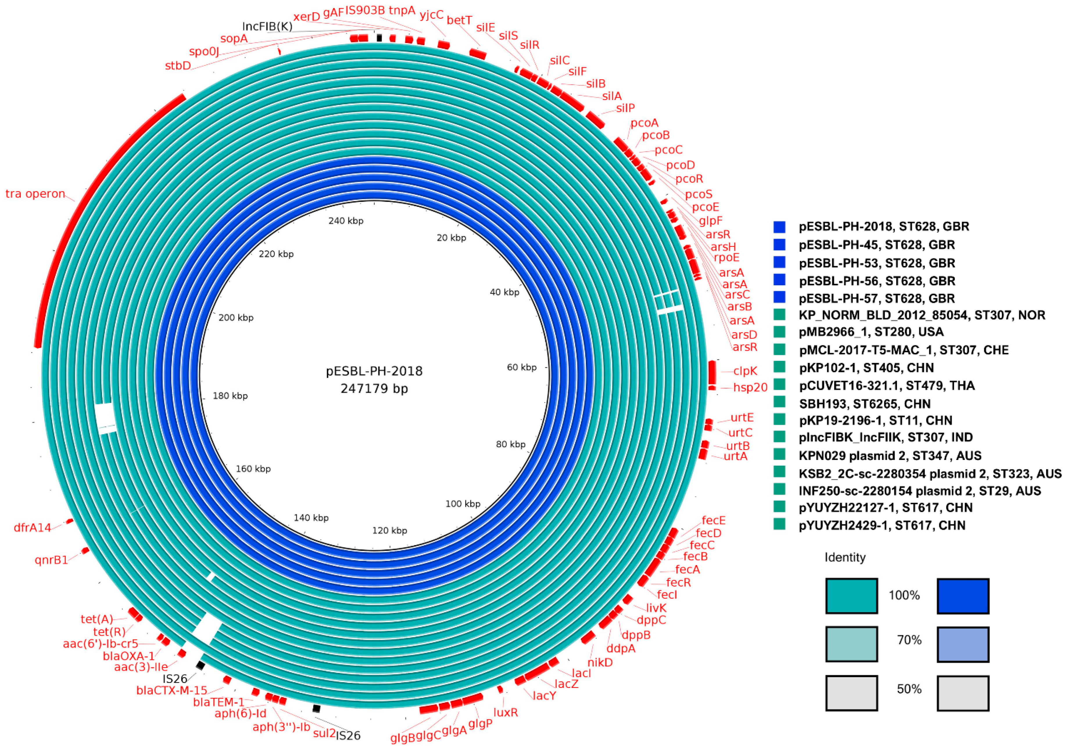 Microbiolres 16 00090 g005