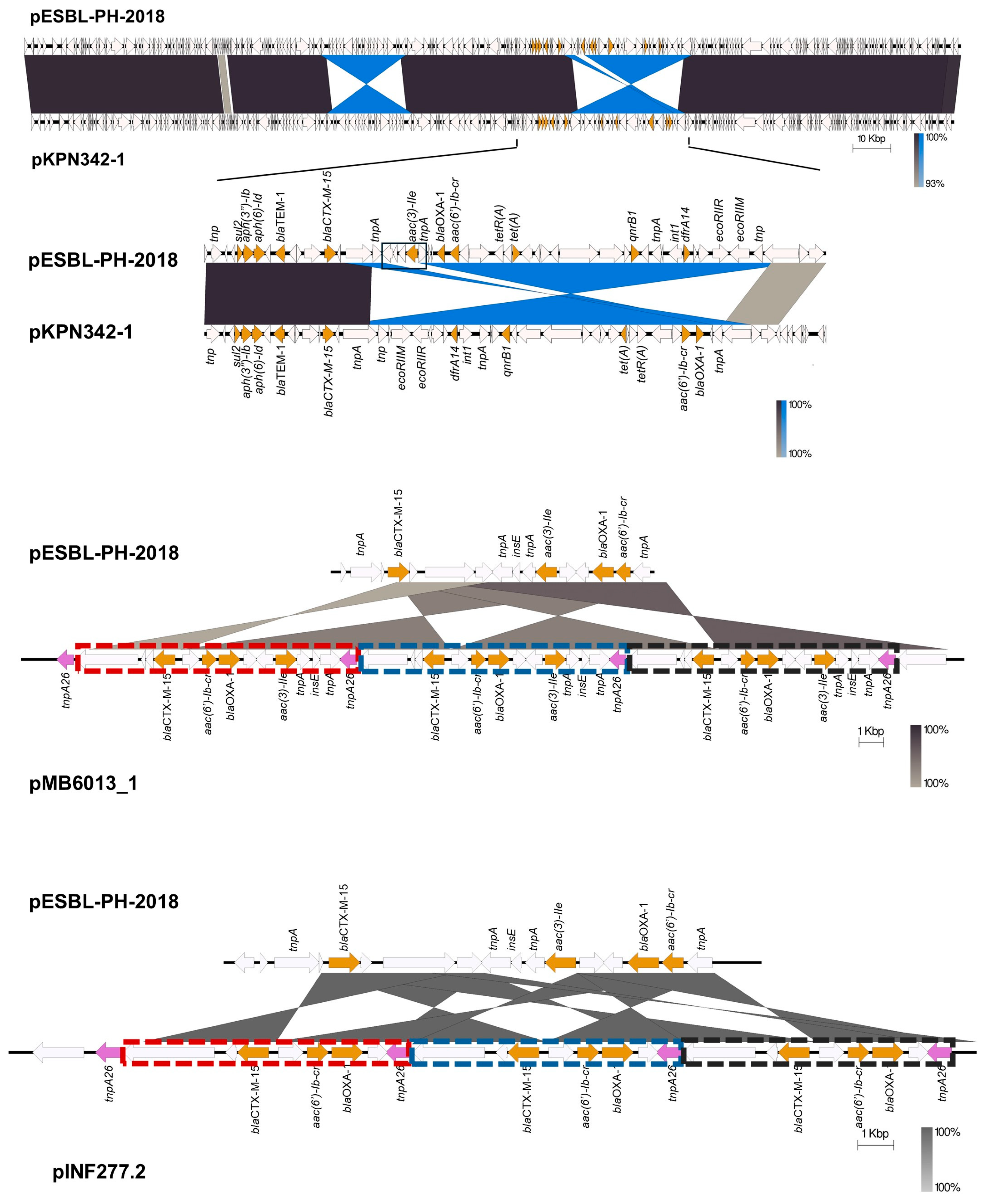Microbiolres 16 00090 g007