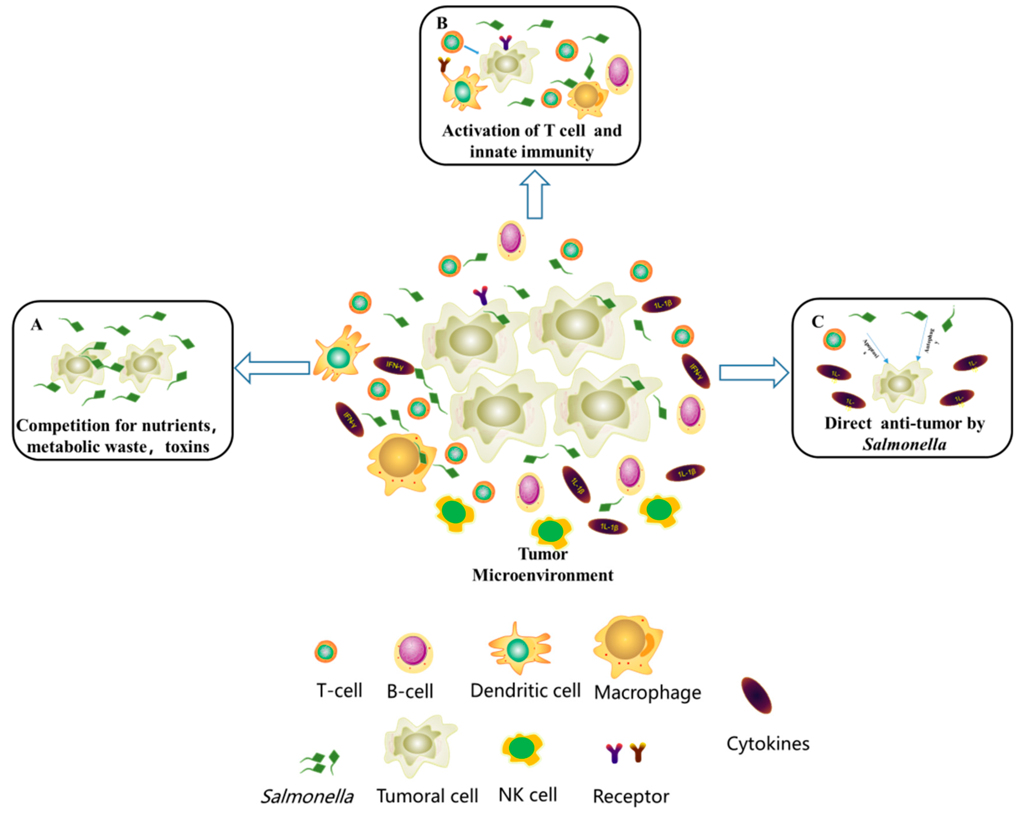 Microbiolres 16 00092 g002