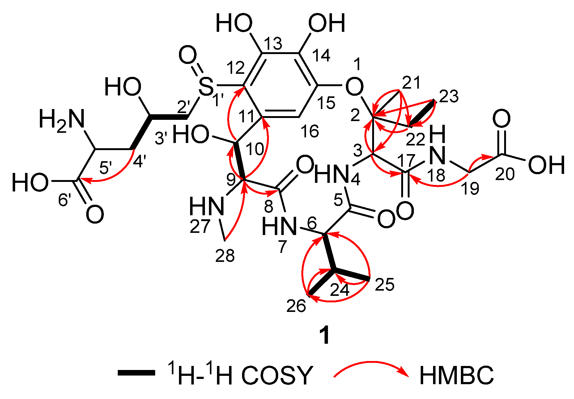 Microbiolres 16 00093 g005