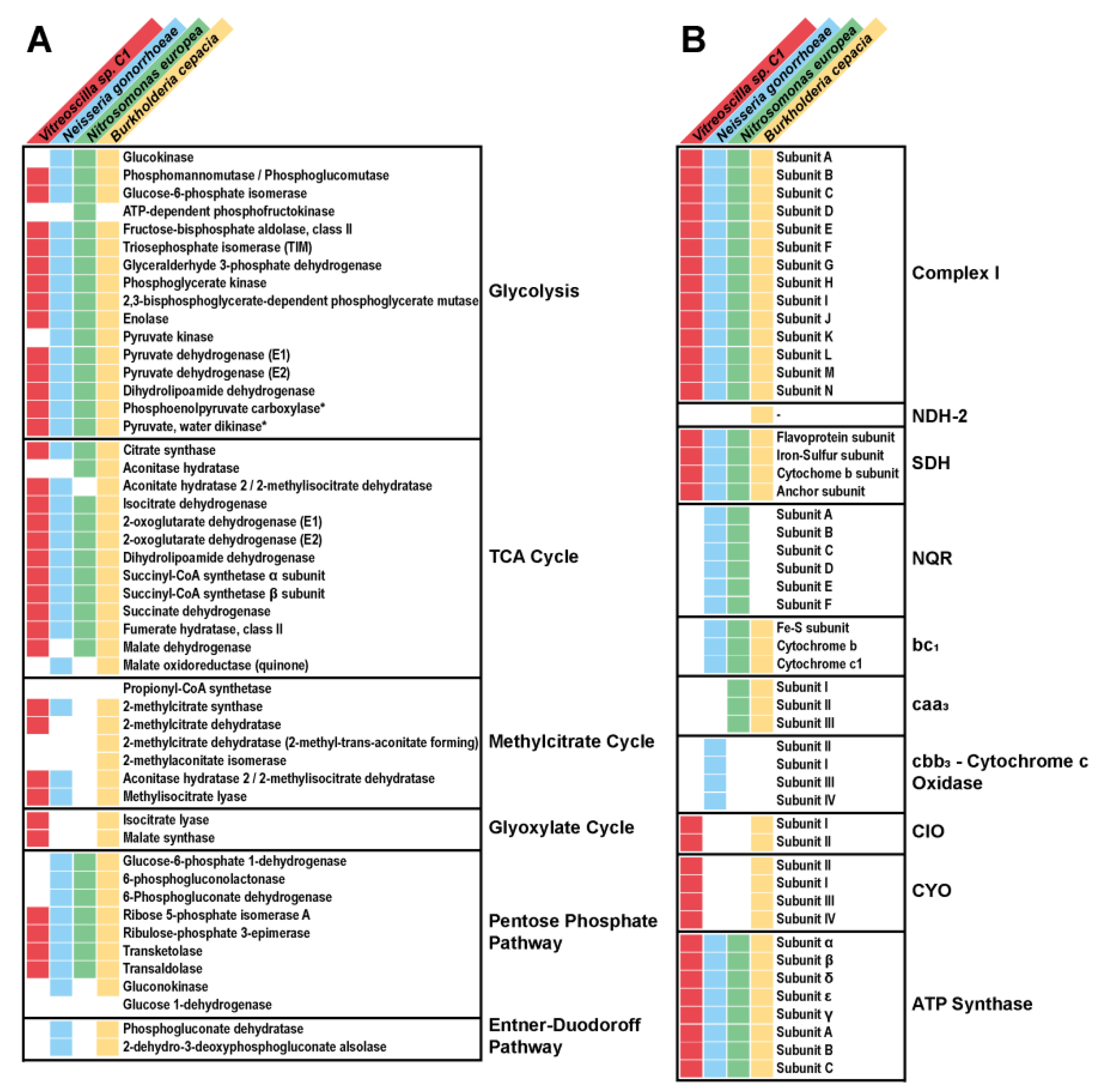 Microbiolres 16 00094 g001