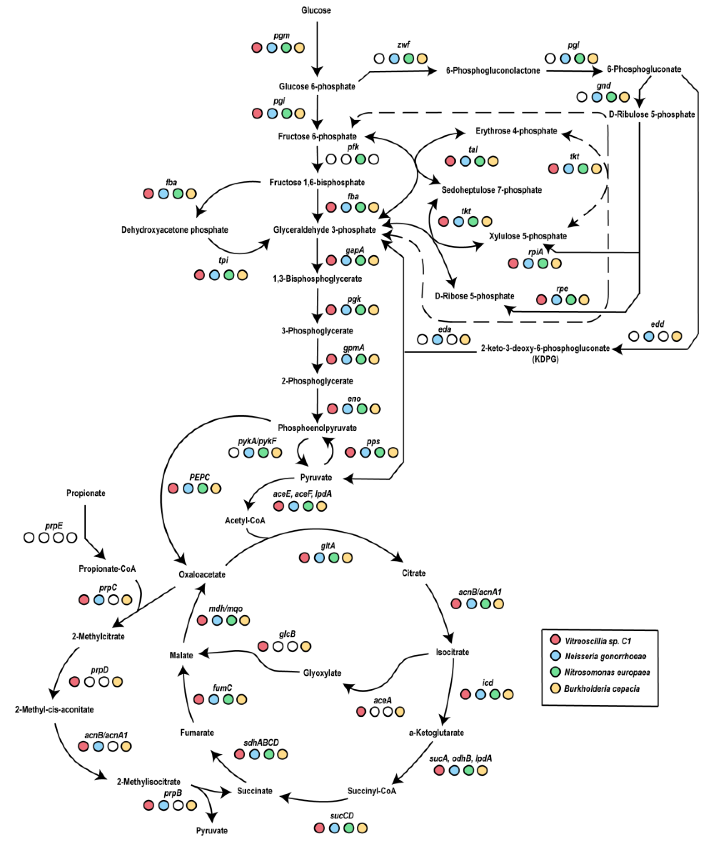 Microbiolres 16 00094 g002