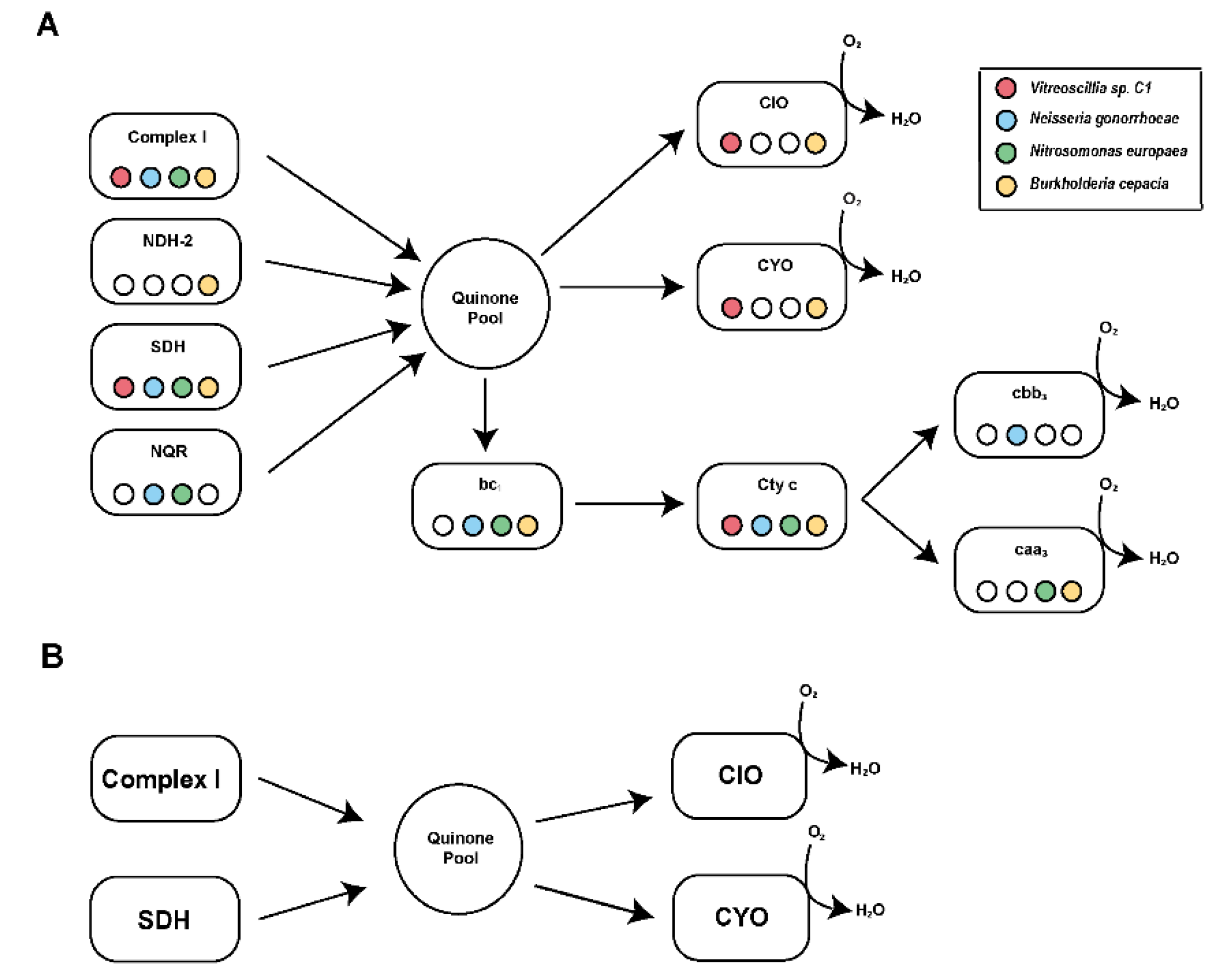 Microbiolres 16 00094 g003