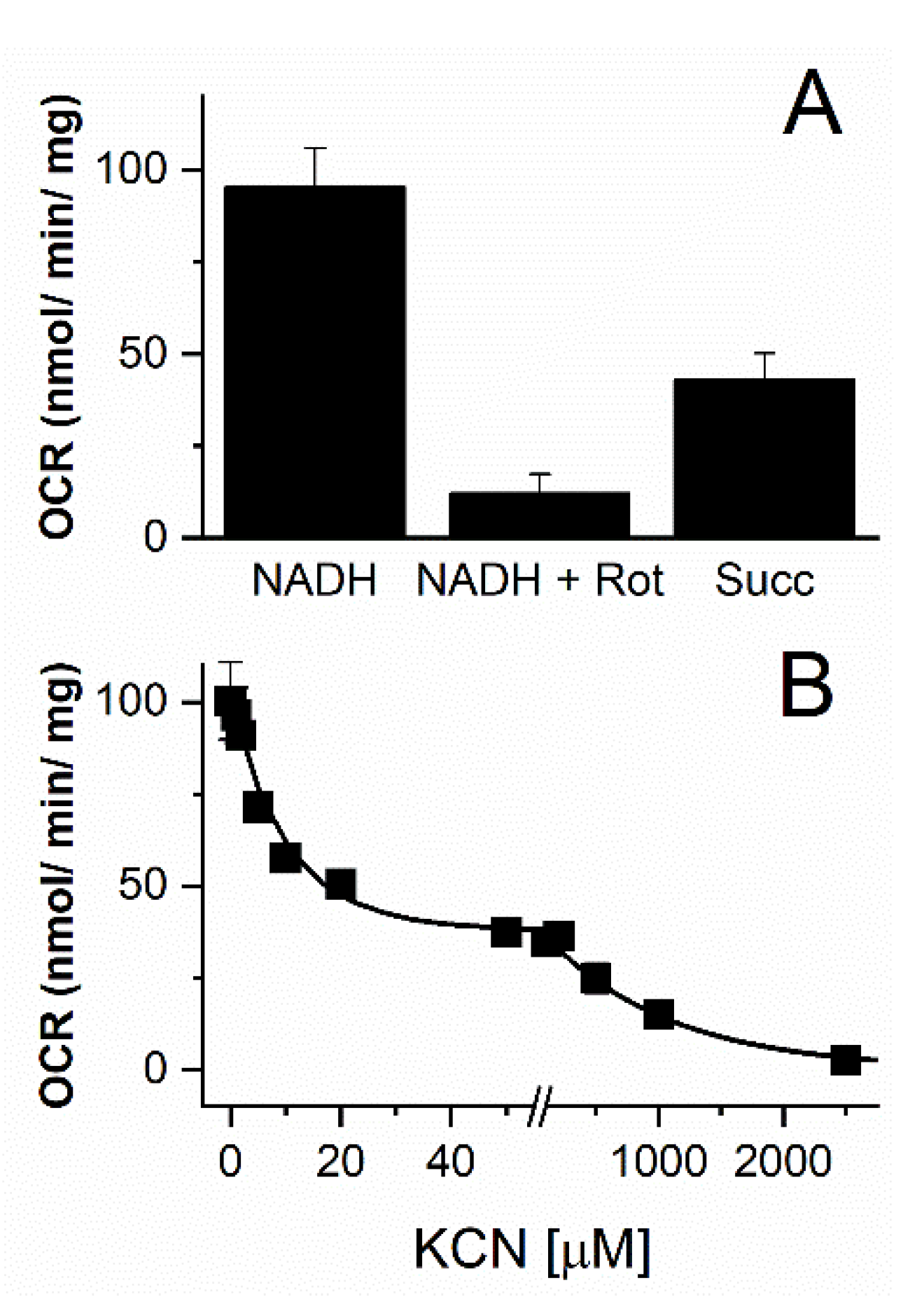 Microbiolres 16 00094 g004