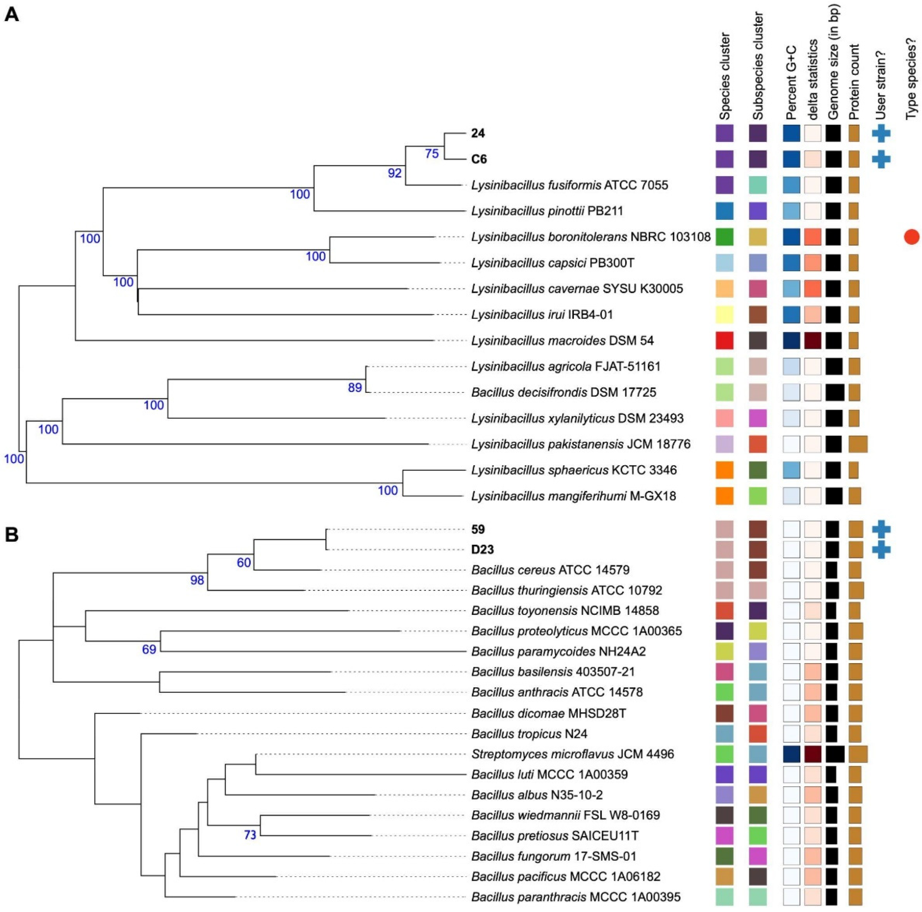 Microbiolres 16 00095 g001