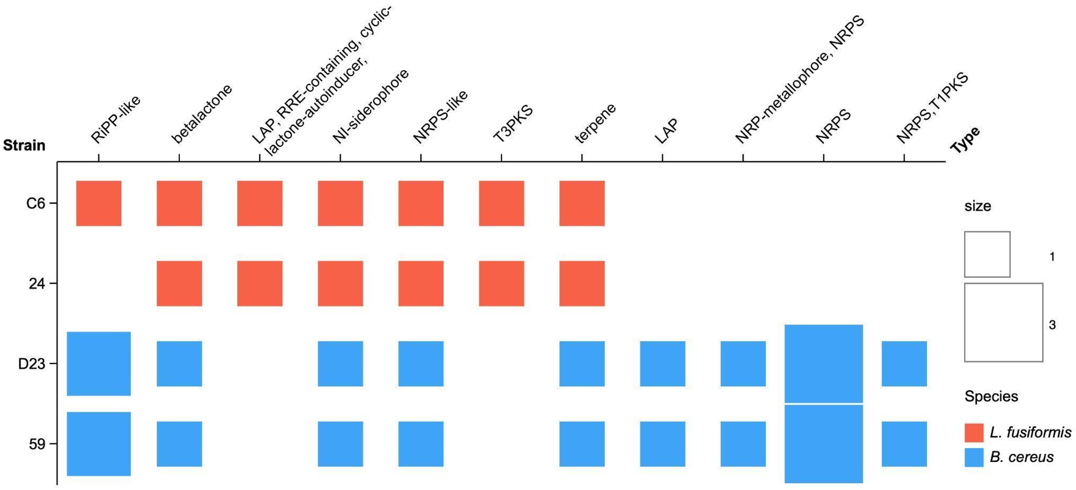 Microbiolres 16 00095 g004