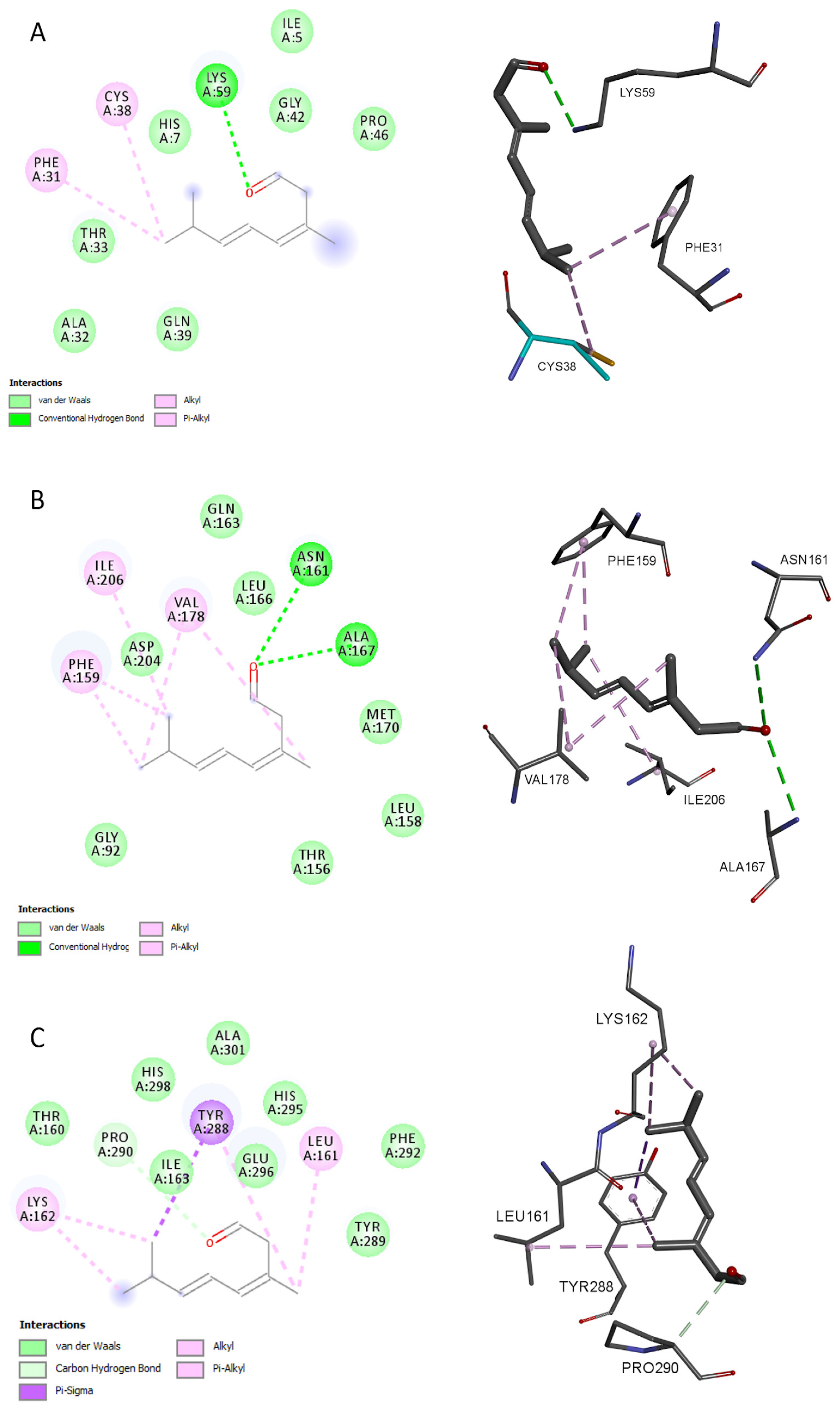 Microbiolres 16 00096 g004