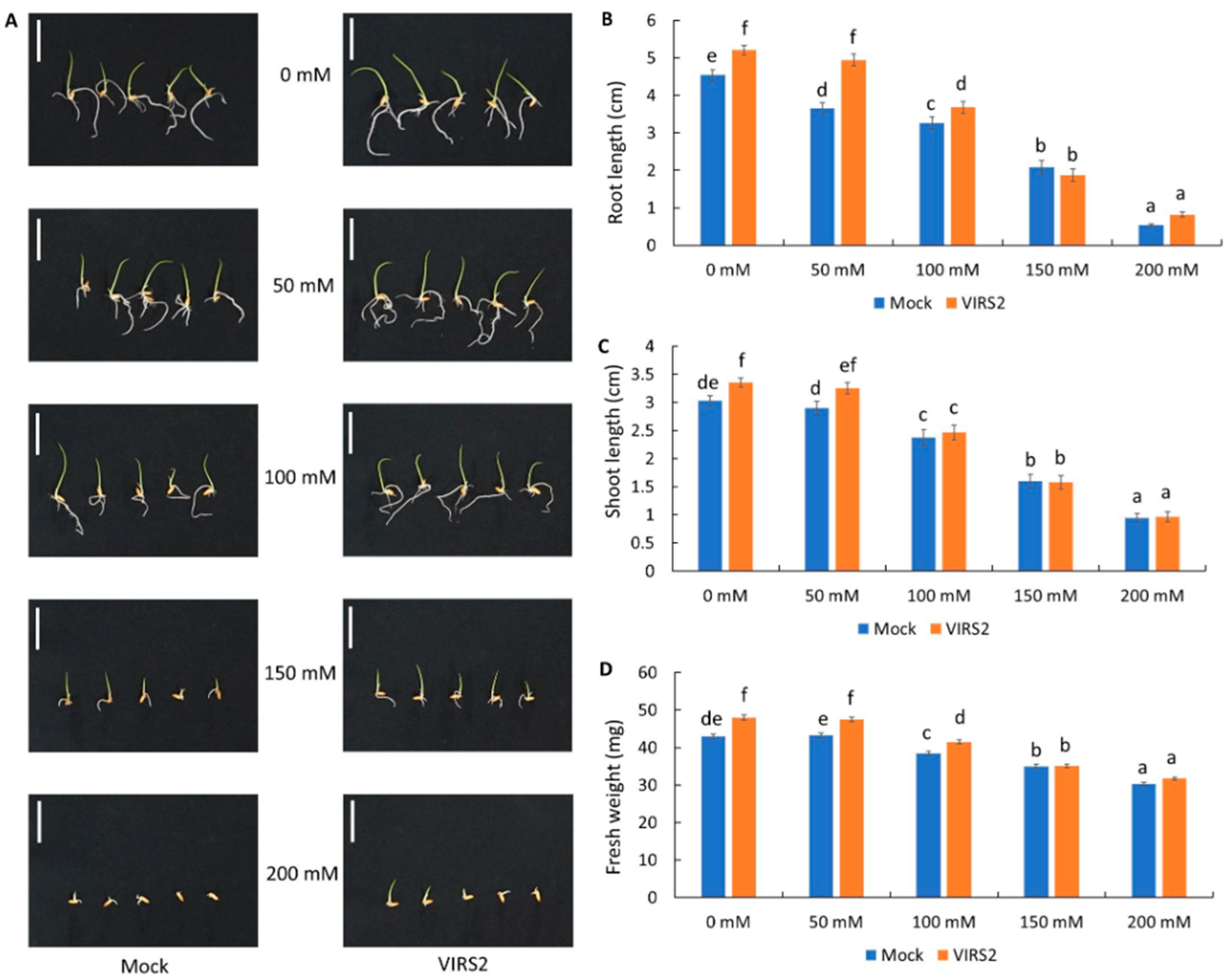 Microbiolres 16 00097 g002
