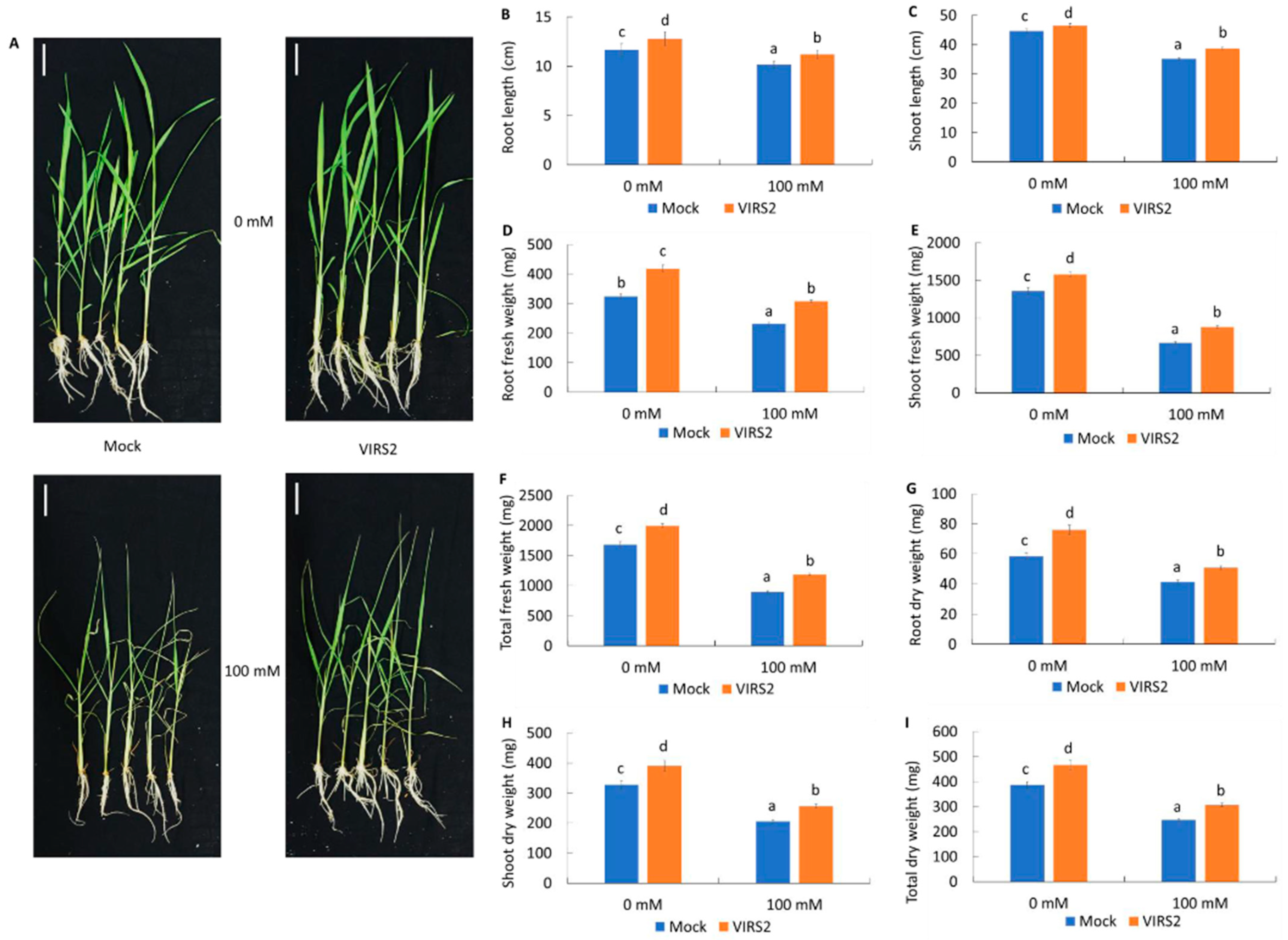Microbiolres 16 00097 g003