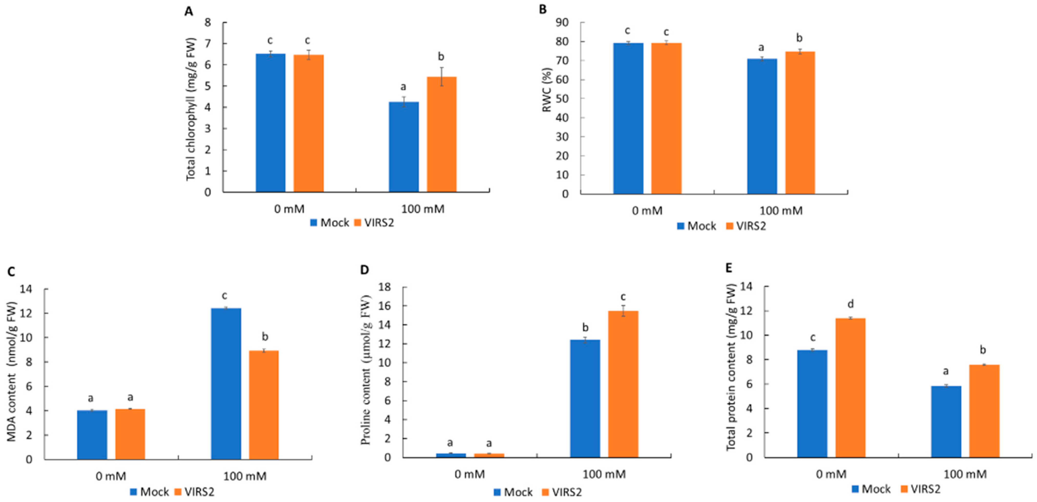 Microbiolres 16 00097 g004