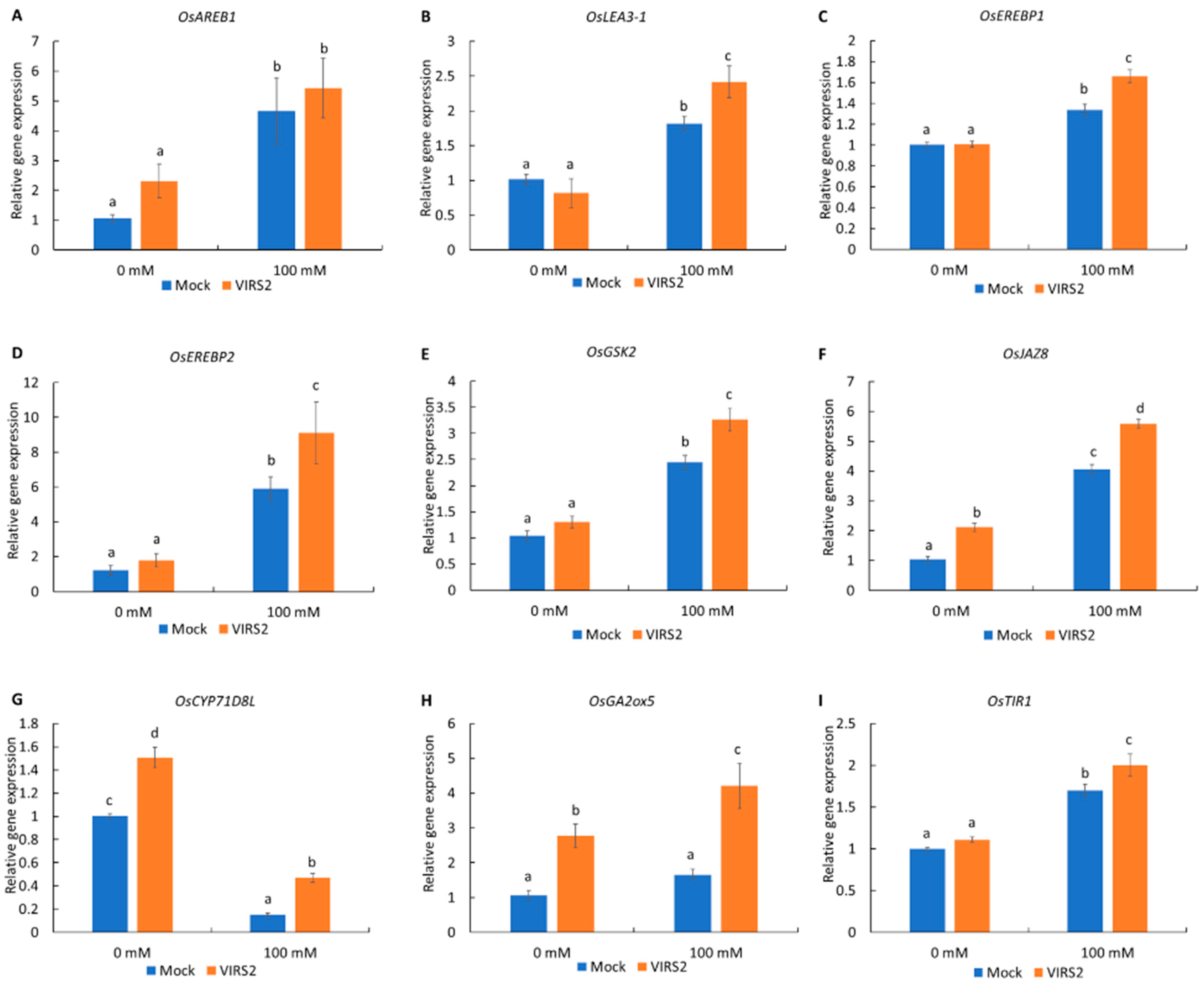 Microbiolres 16 00097 g005