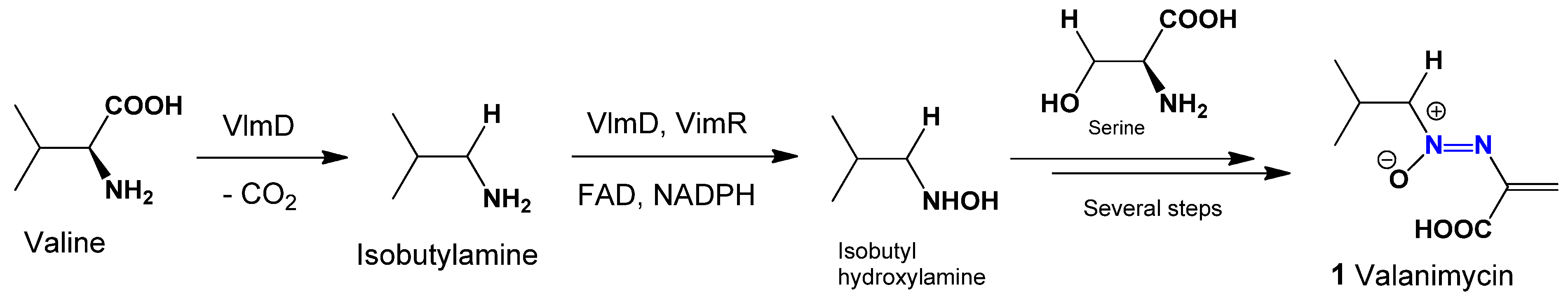 Microbiolres 16 00100 g001