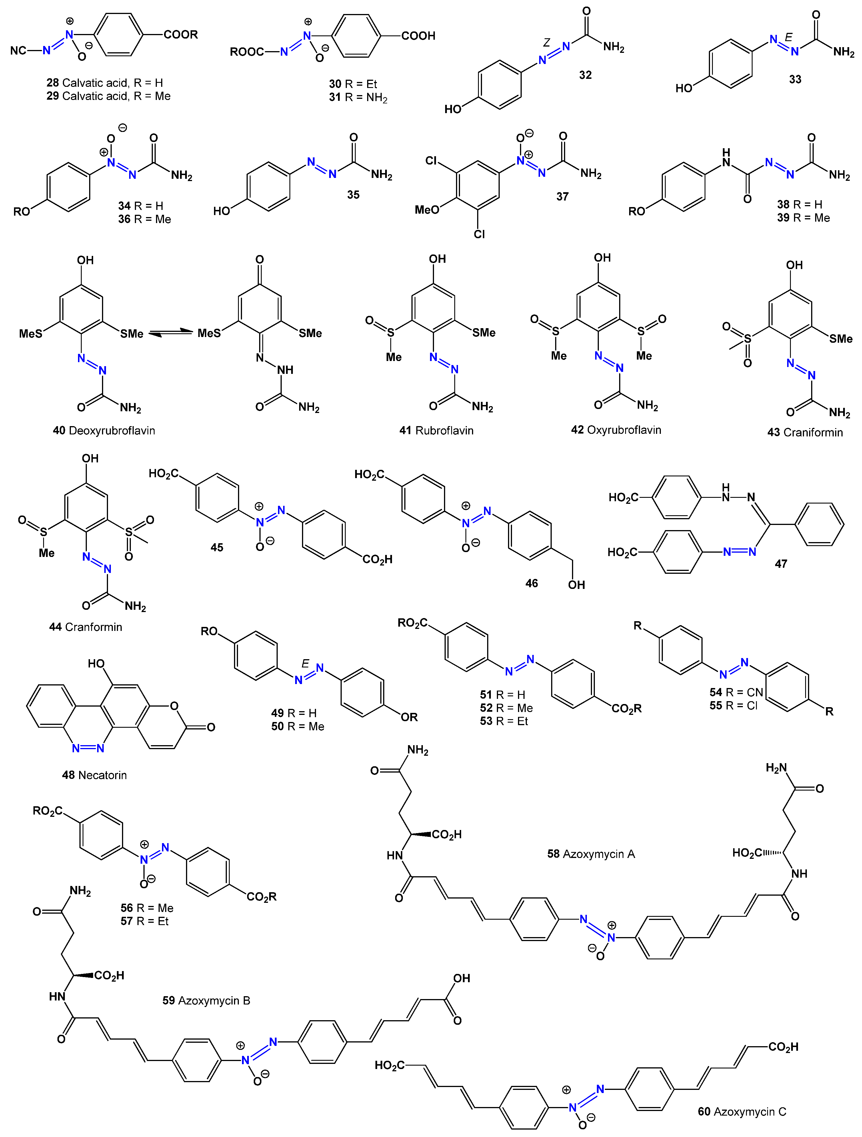 Microbiolres 16 00100 g003