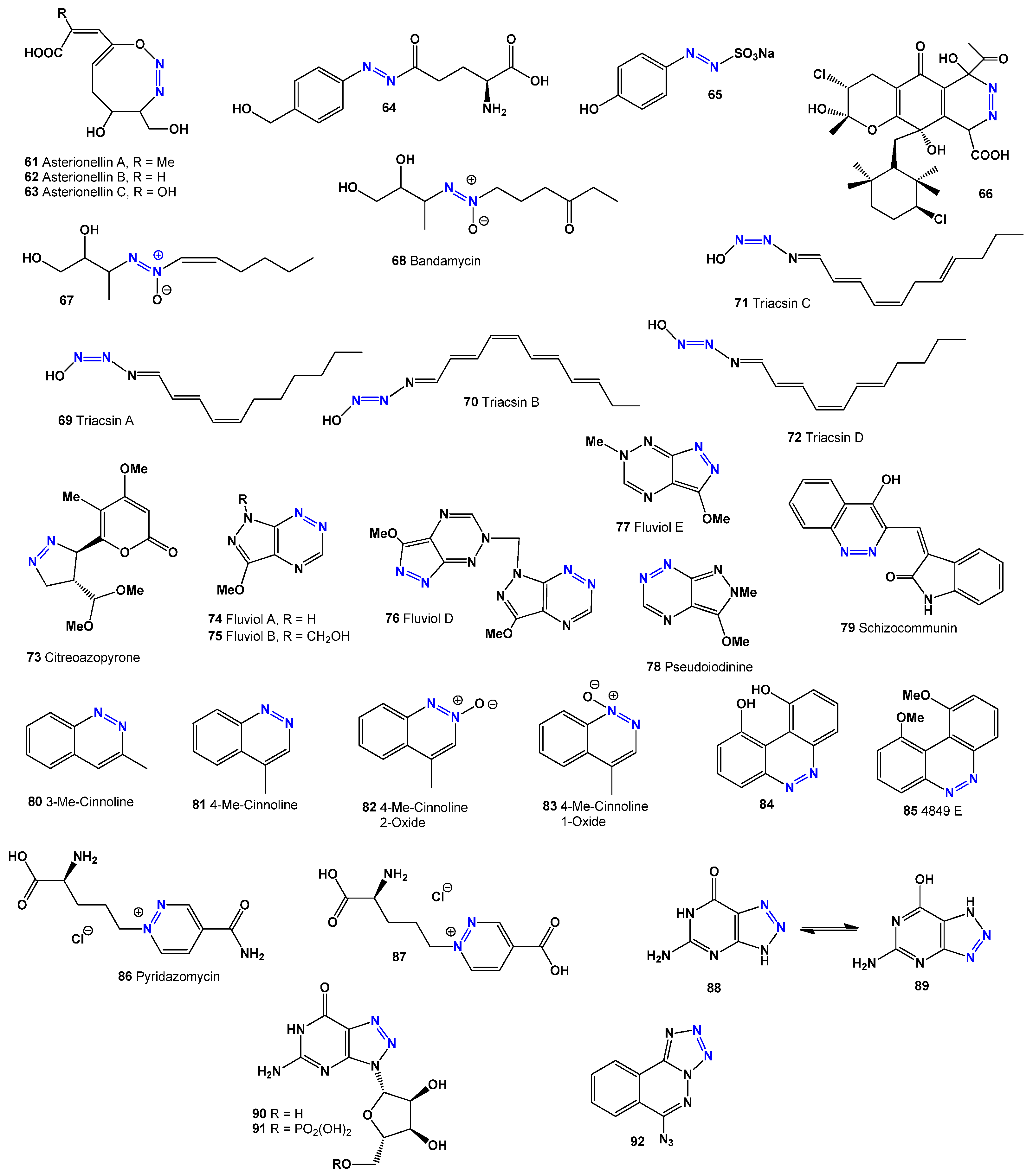 Microbiolres 16 00100 g005