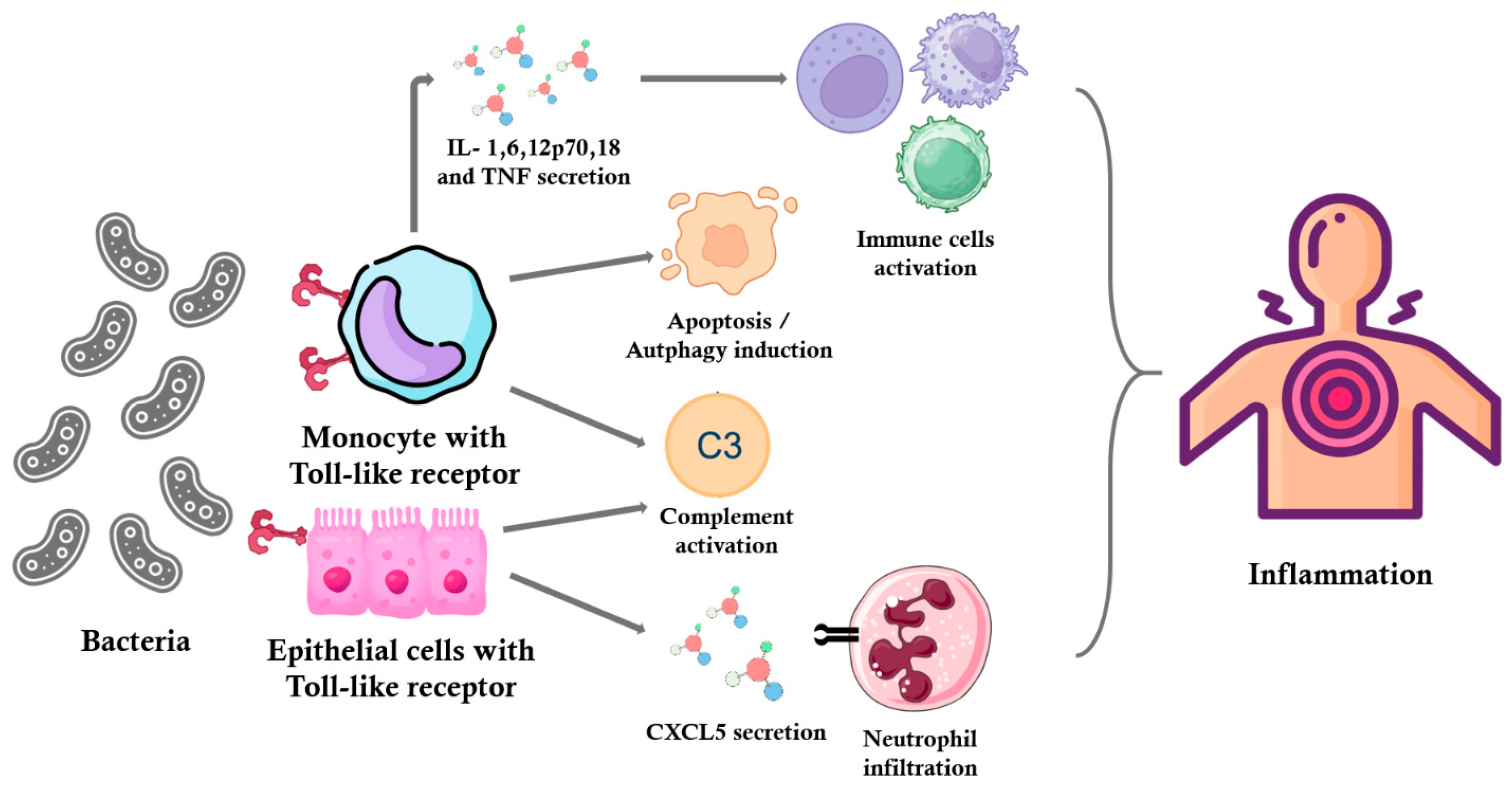 Microbiolres 16 00103 g001