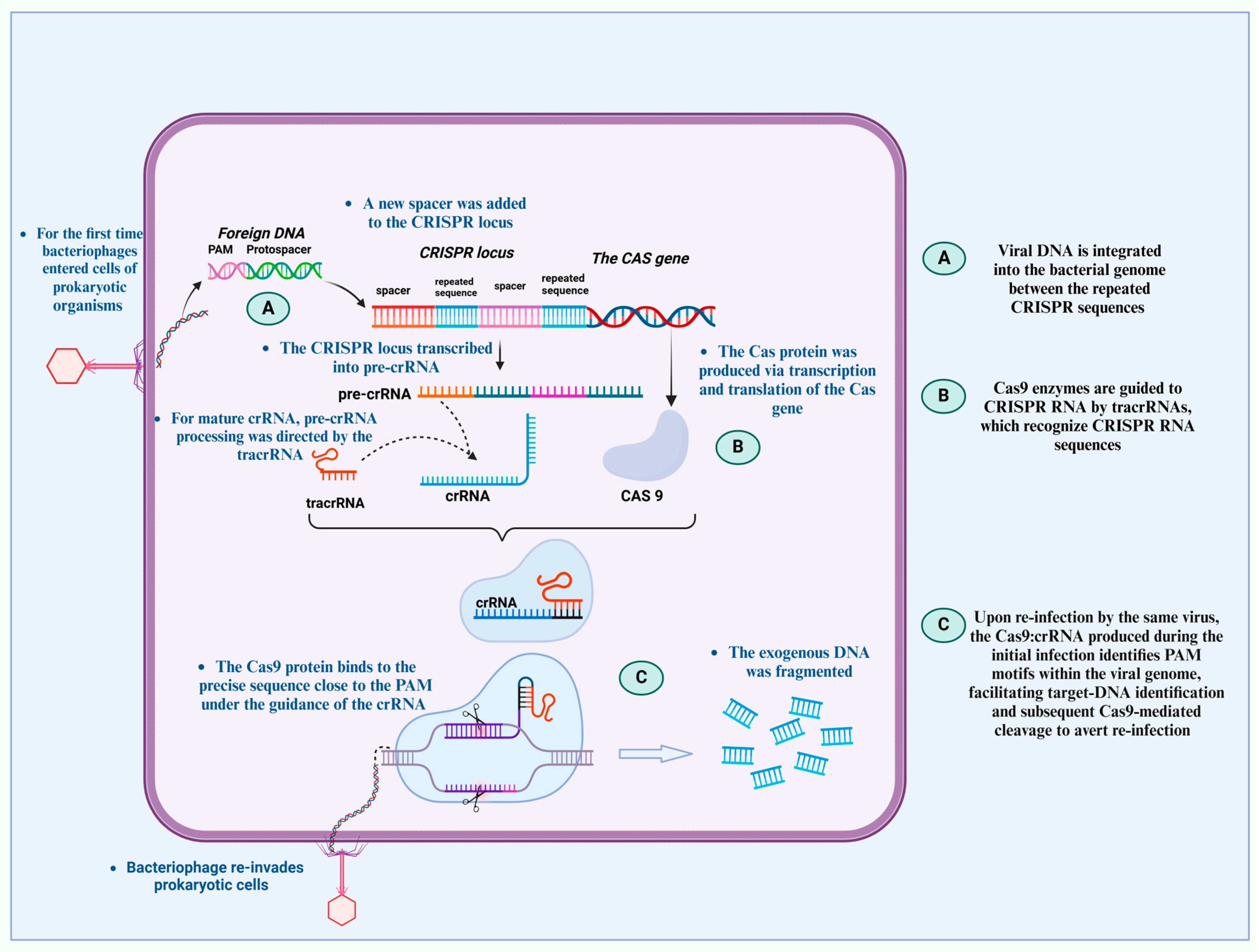 Microbiolres 16 00104 g001