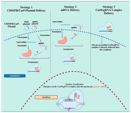 The Bottom Line: A Realistic Assessment - visual representation