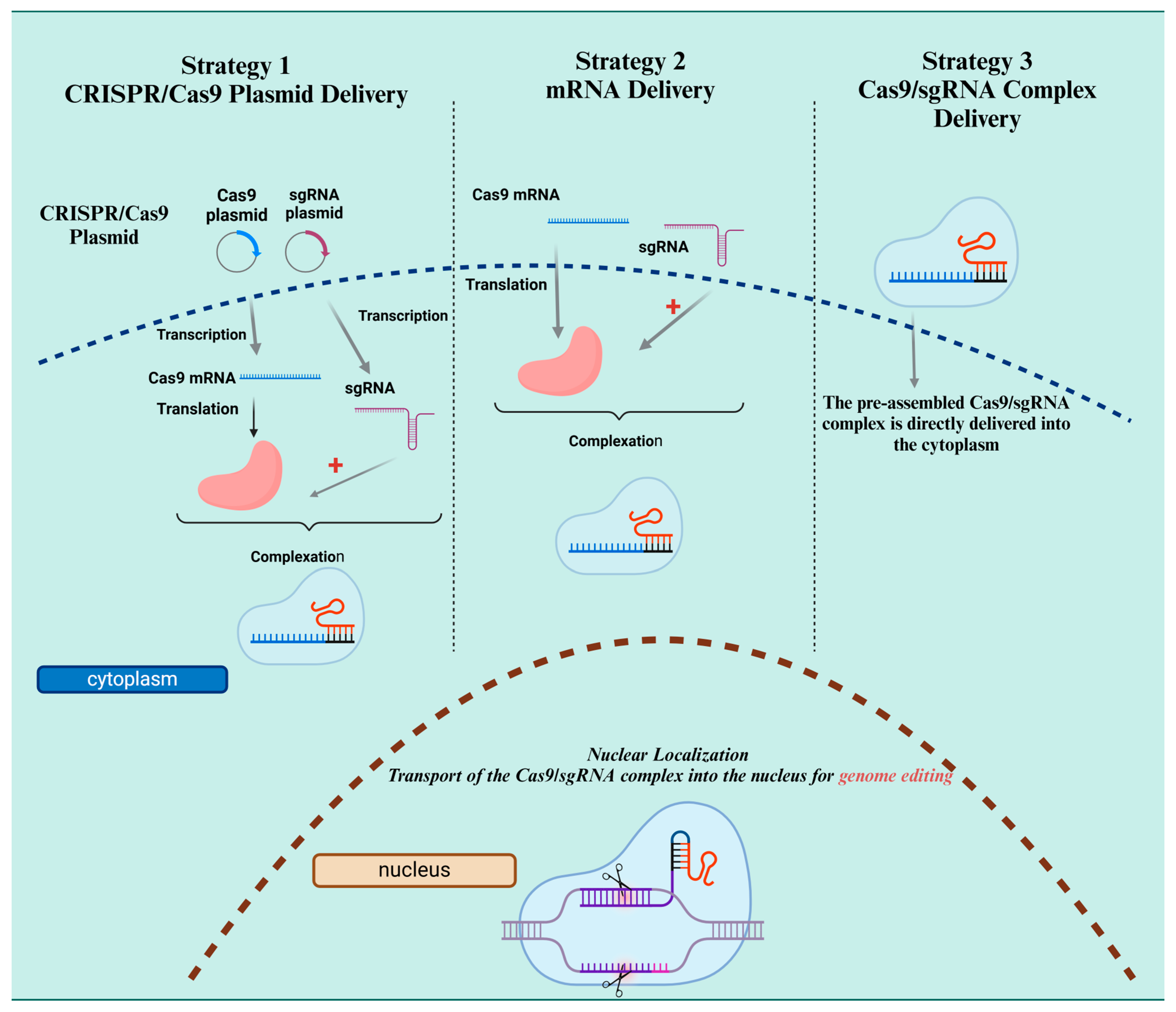 Microbiolres 16 00104 g003