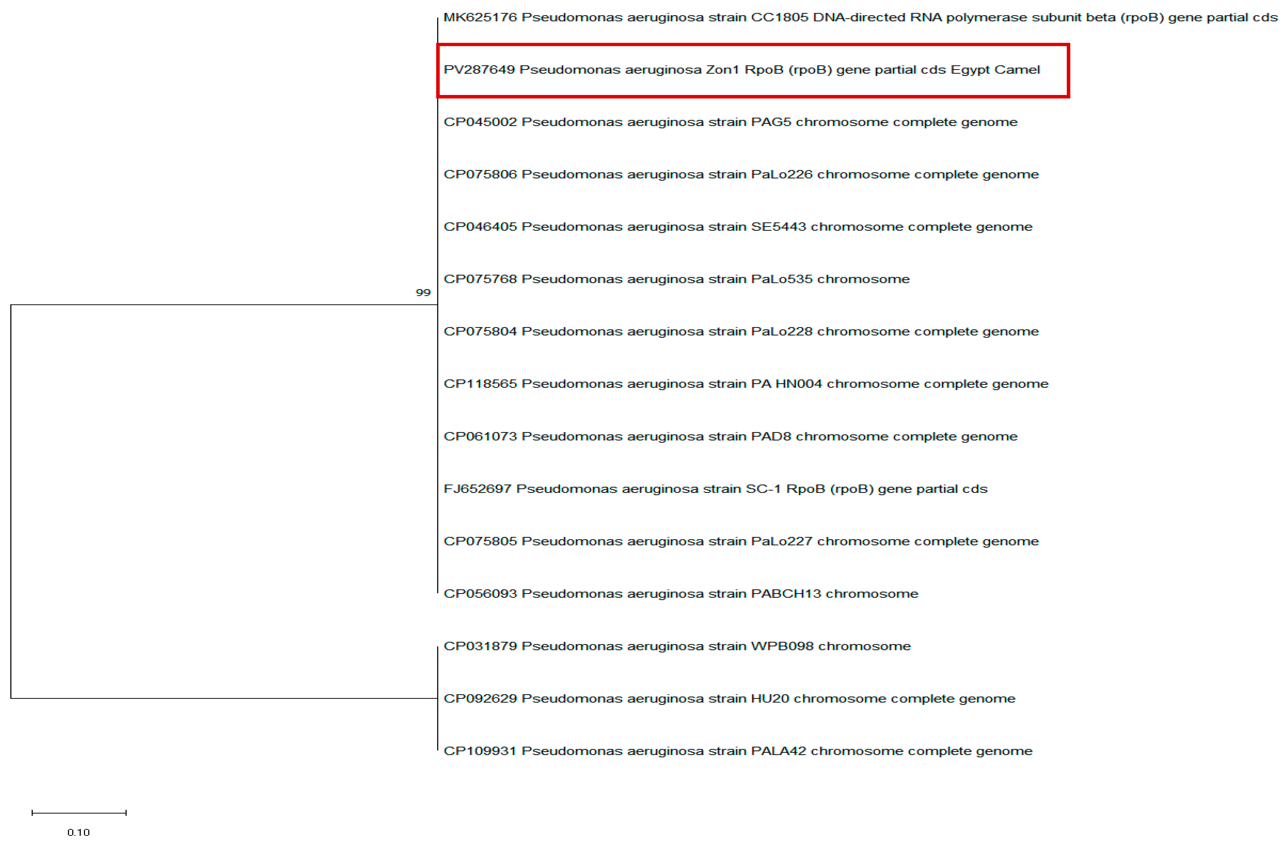 Microbiolres 16 00107 g001 Microbiolres 16 00107 g001