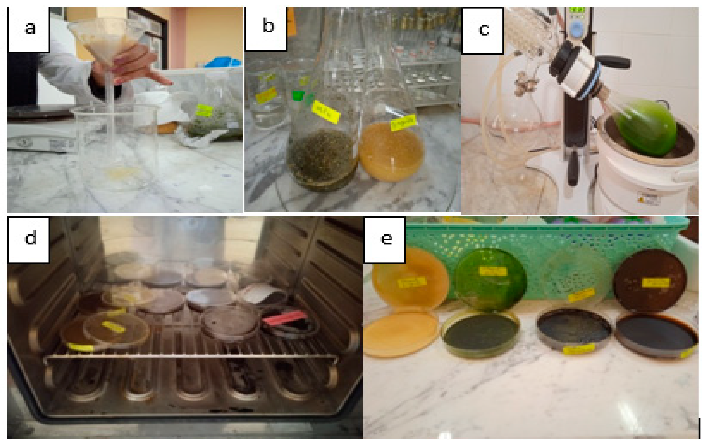 Microbiolres 16 00108 g001