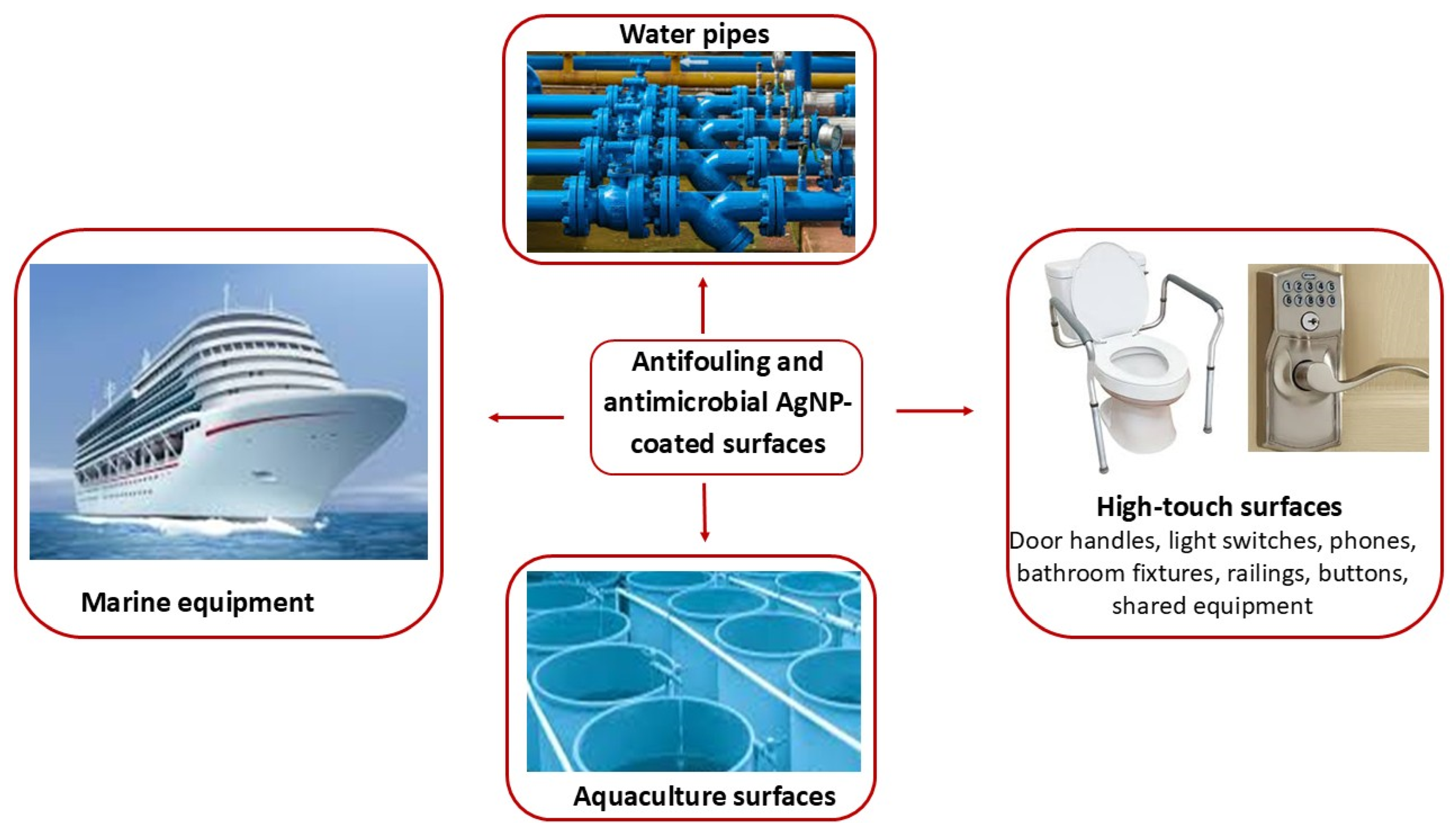 Microbiolres 16 00110 g006