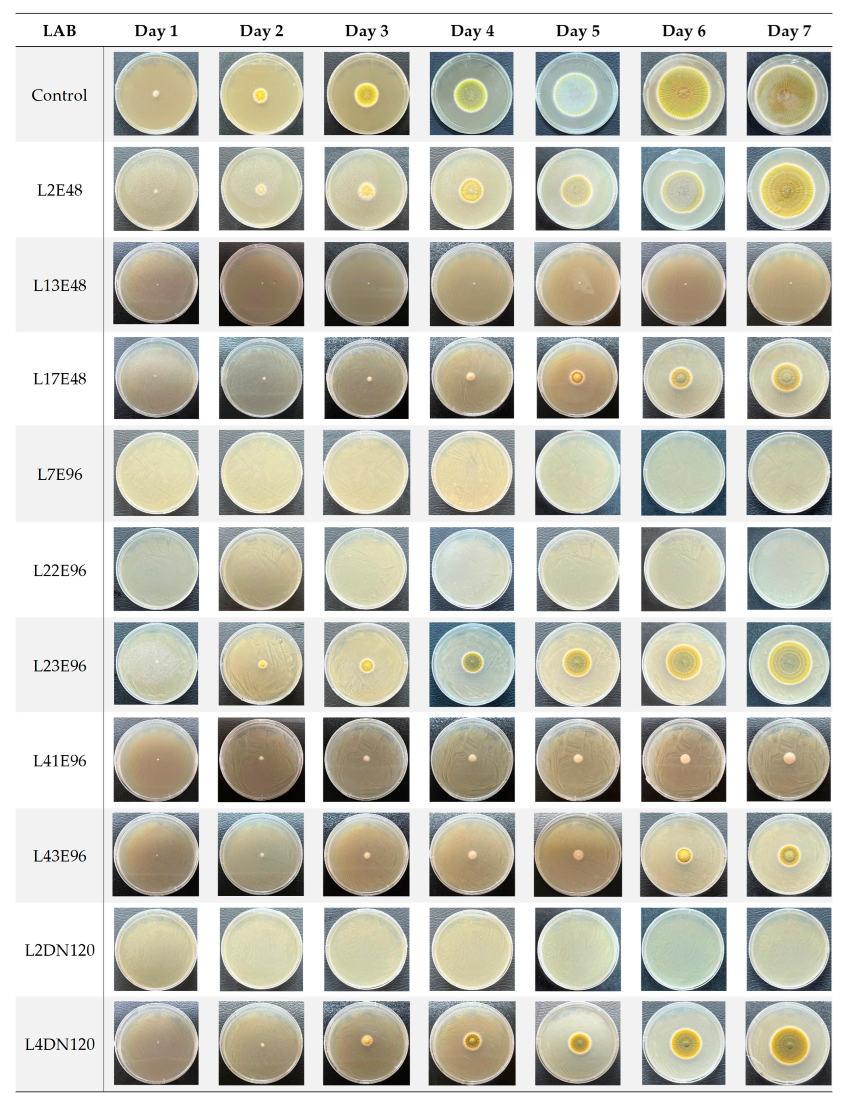 Microbiolres 16 00111 g002
