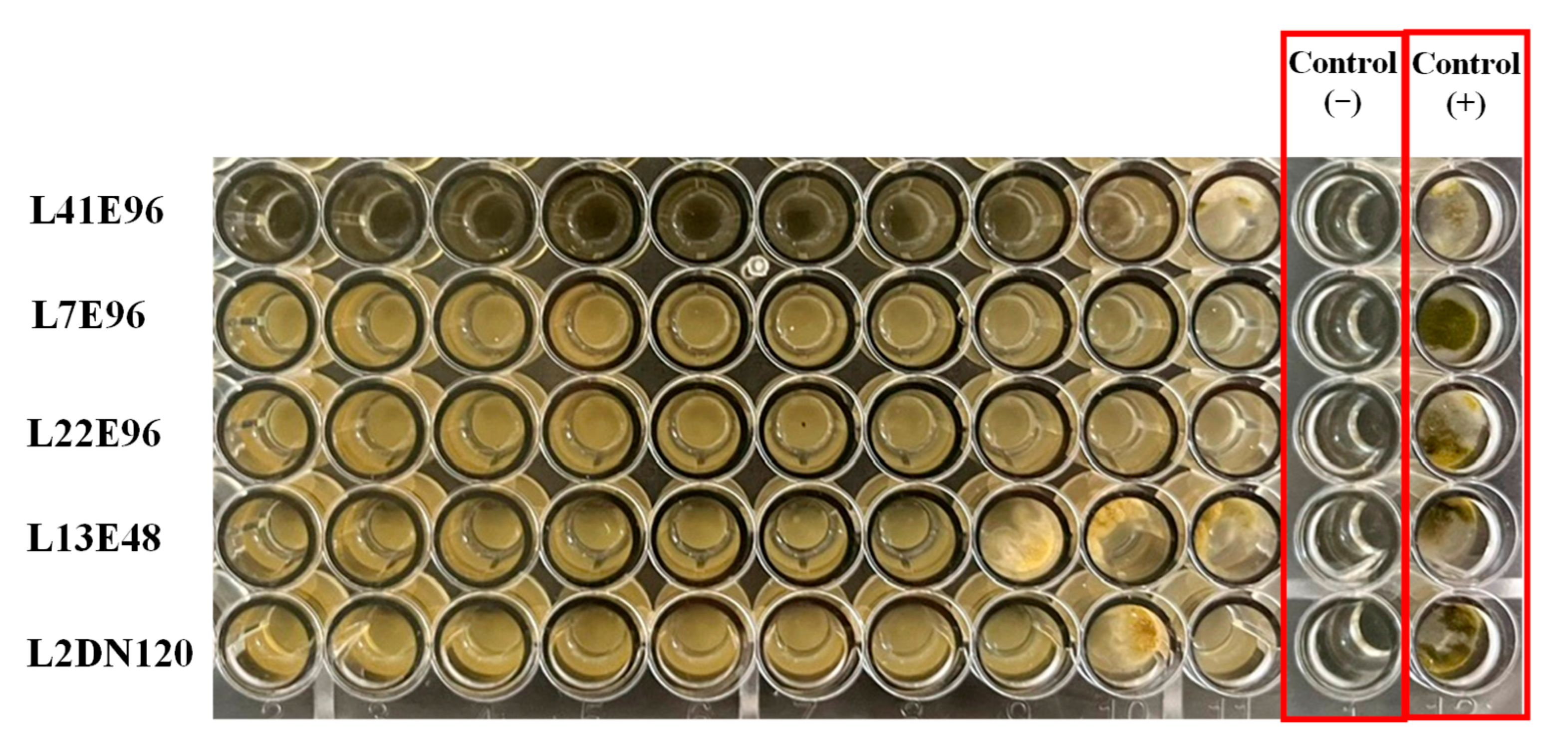 Microbiolres 16 00111 g003