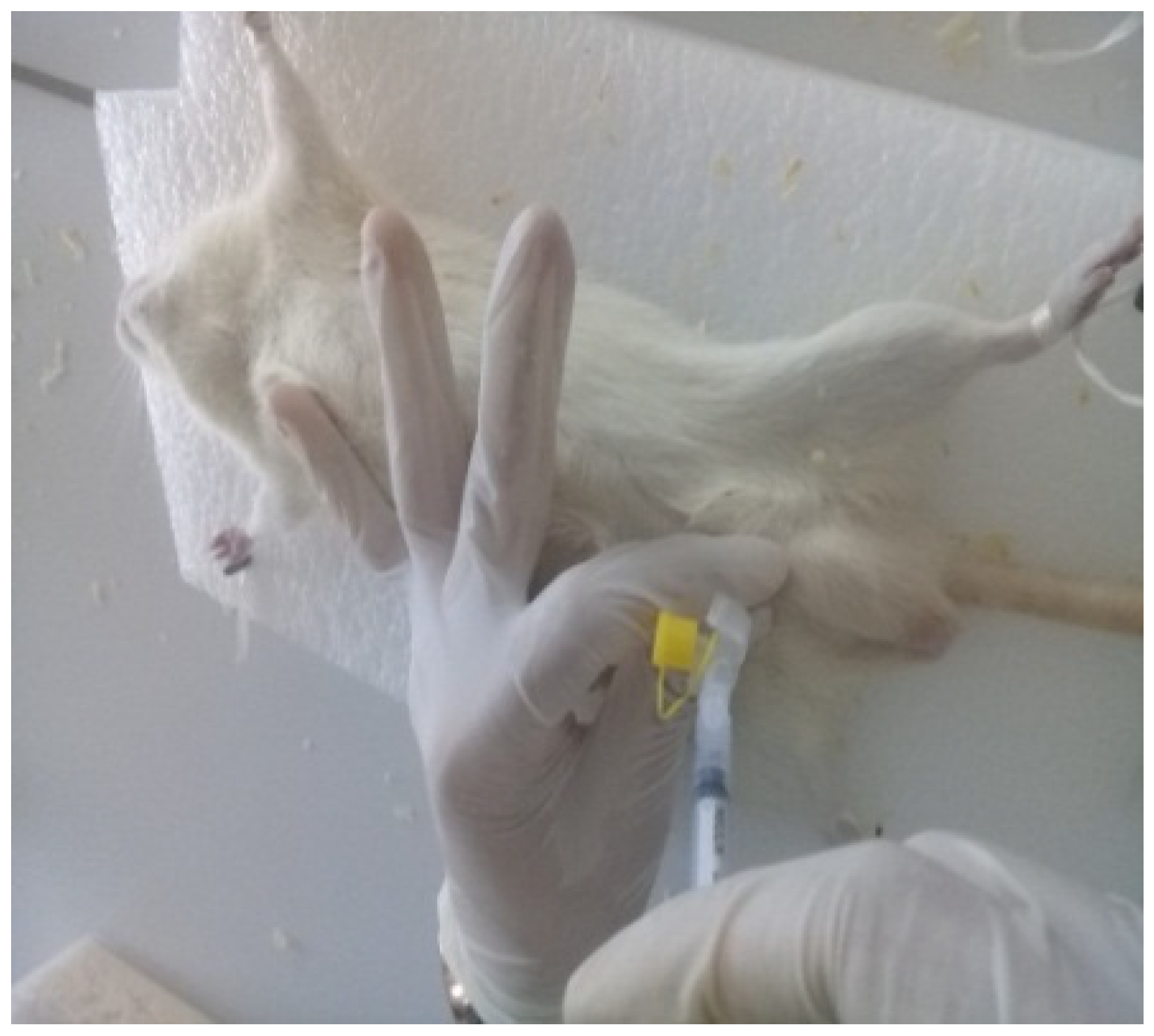 Microbiolres 16 00114 g001