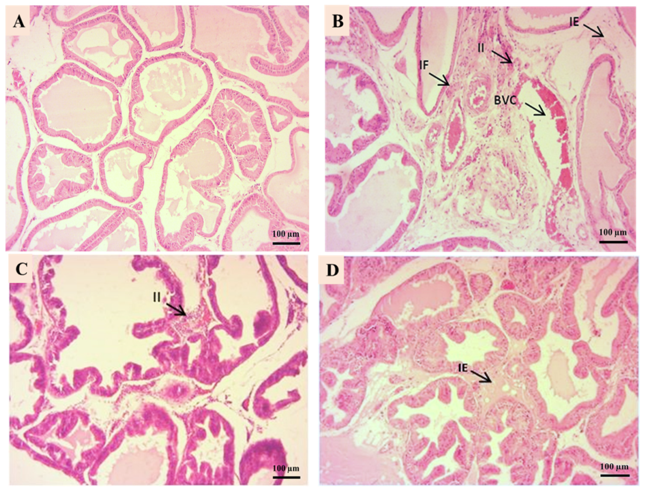 Microbiolres 16 00114 g003a