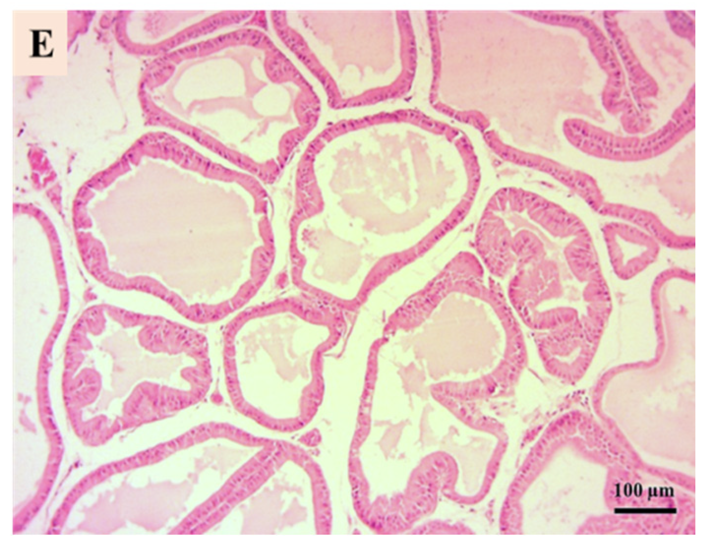 Microbiolres 16 00114 g003b
