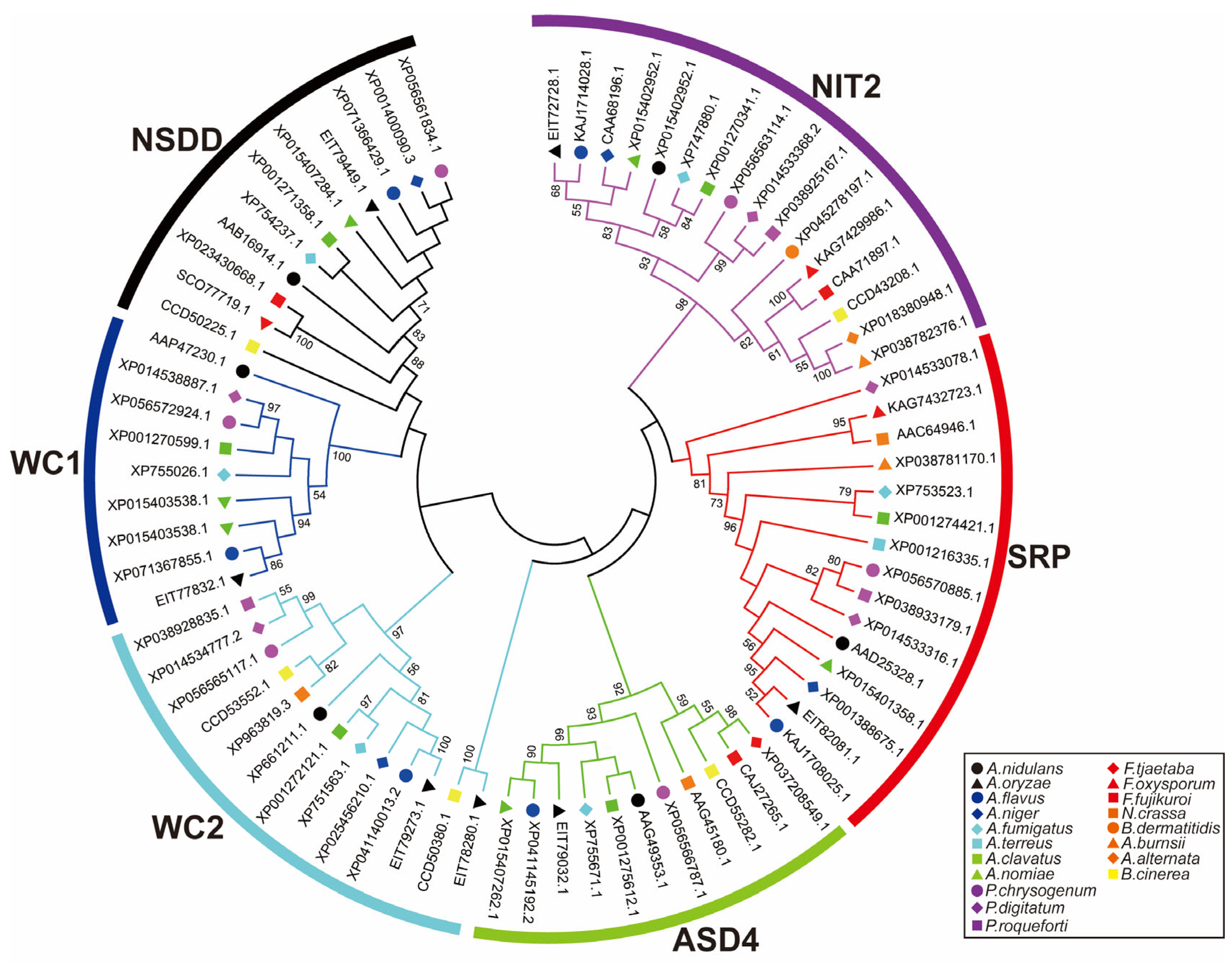 Microbiolres 16 00120 g001