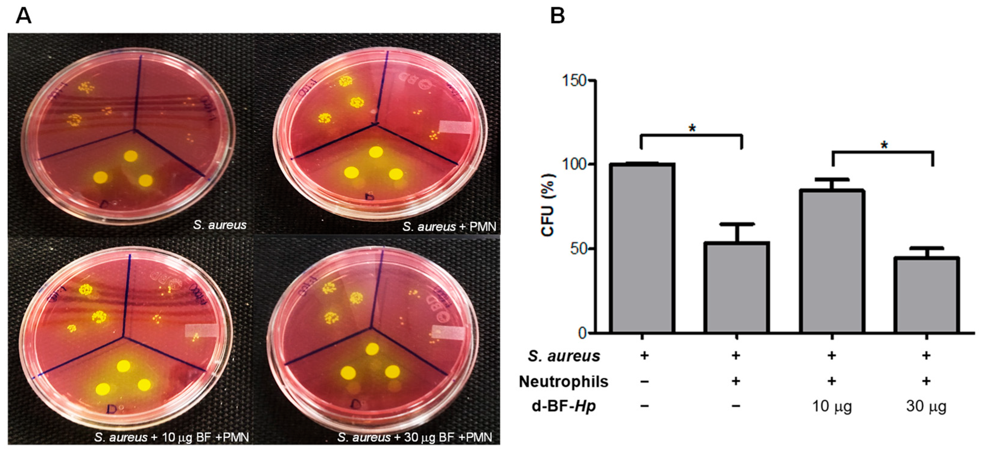 Microbiolres 16 00121 g001