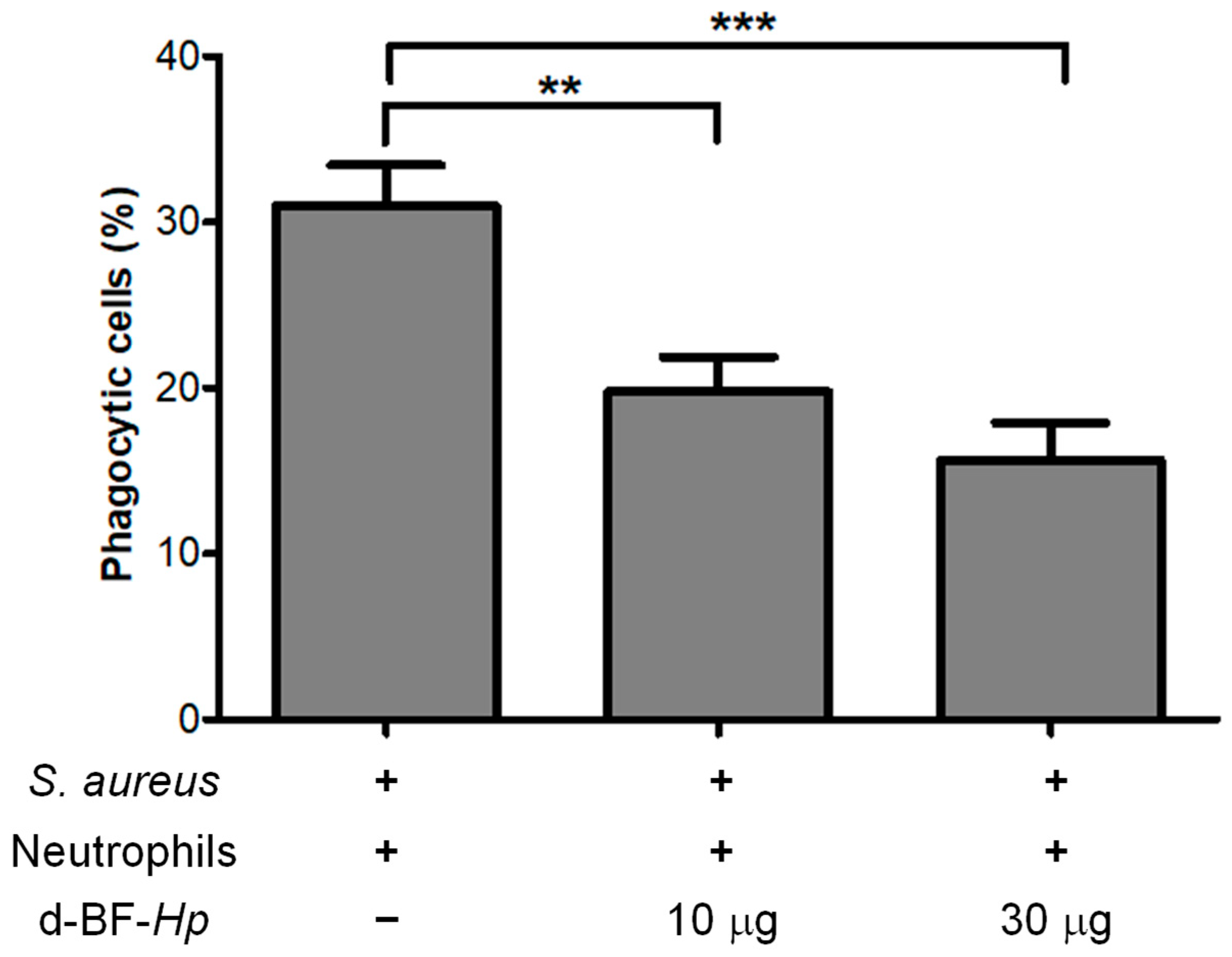 Microbiolres 16 00121 g002