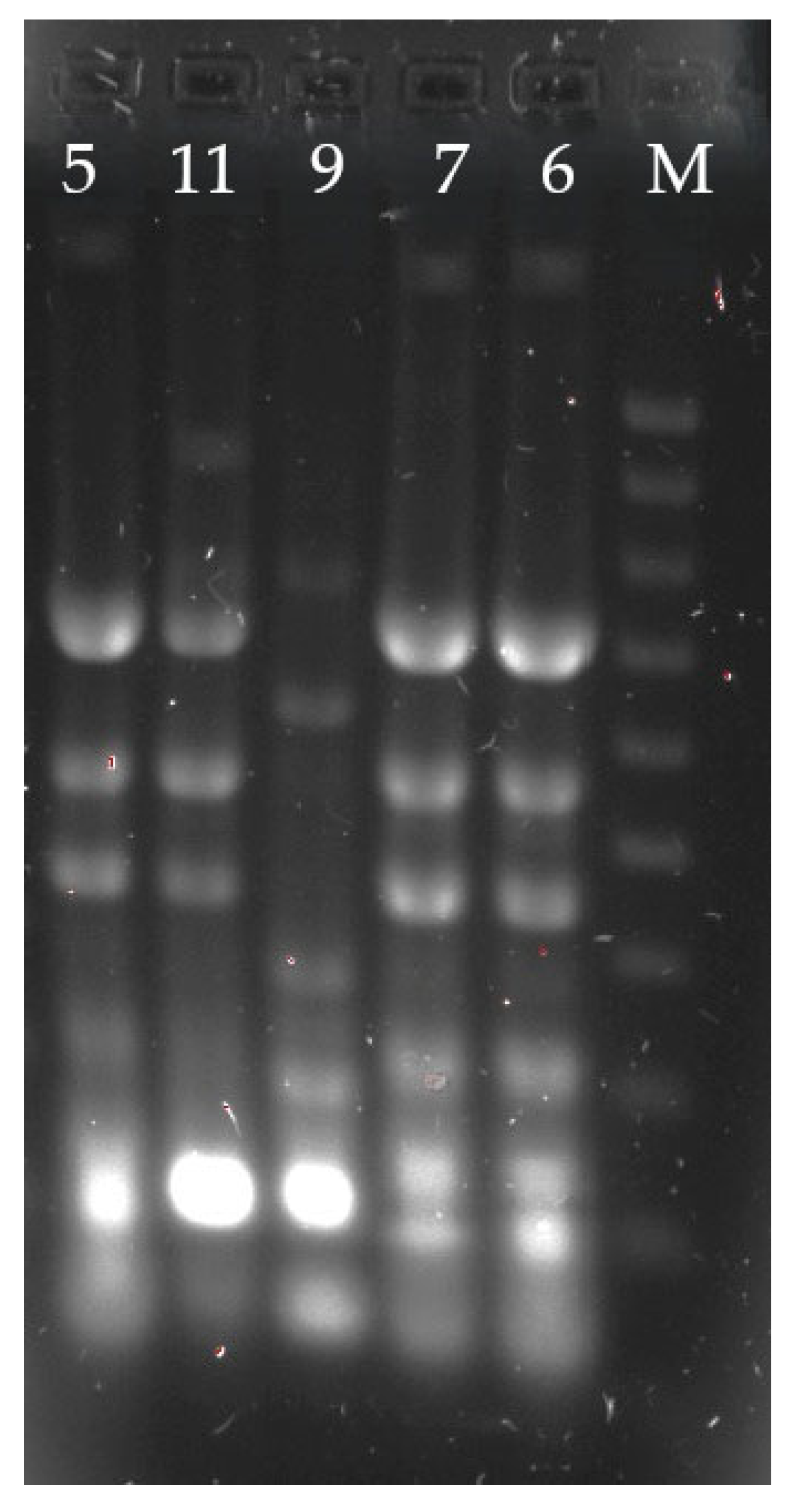 Microbiolres 16 00123 g002