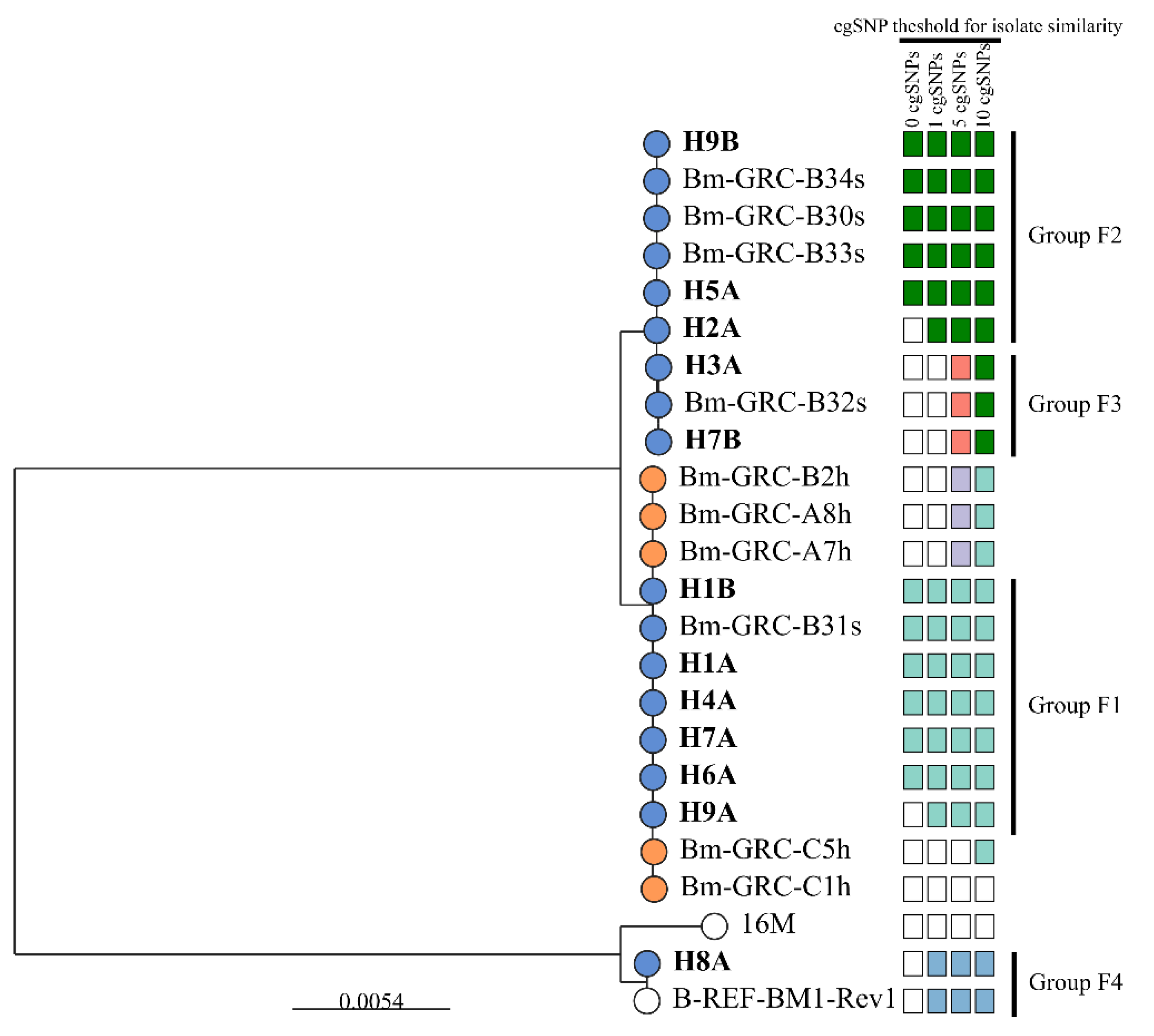 Microbiolres 16 00124 g002