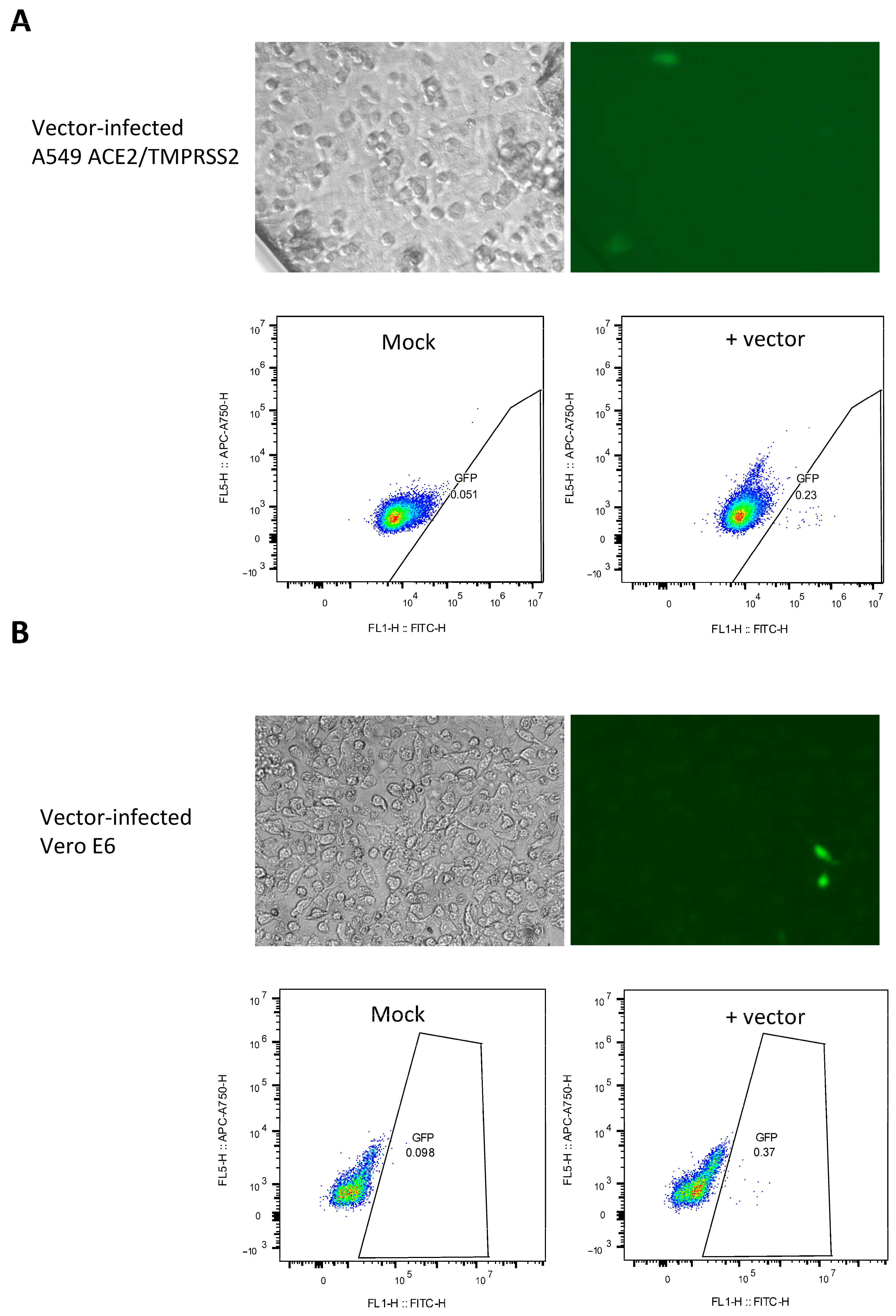 Microbiolres 16 00125 g003